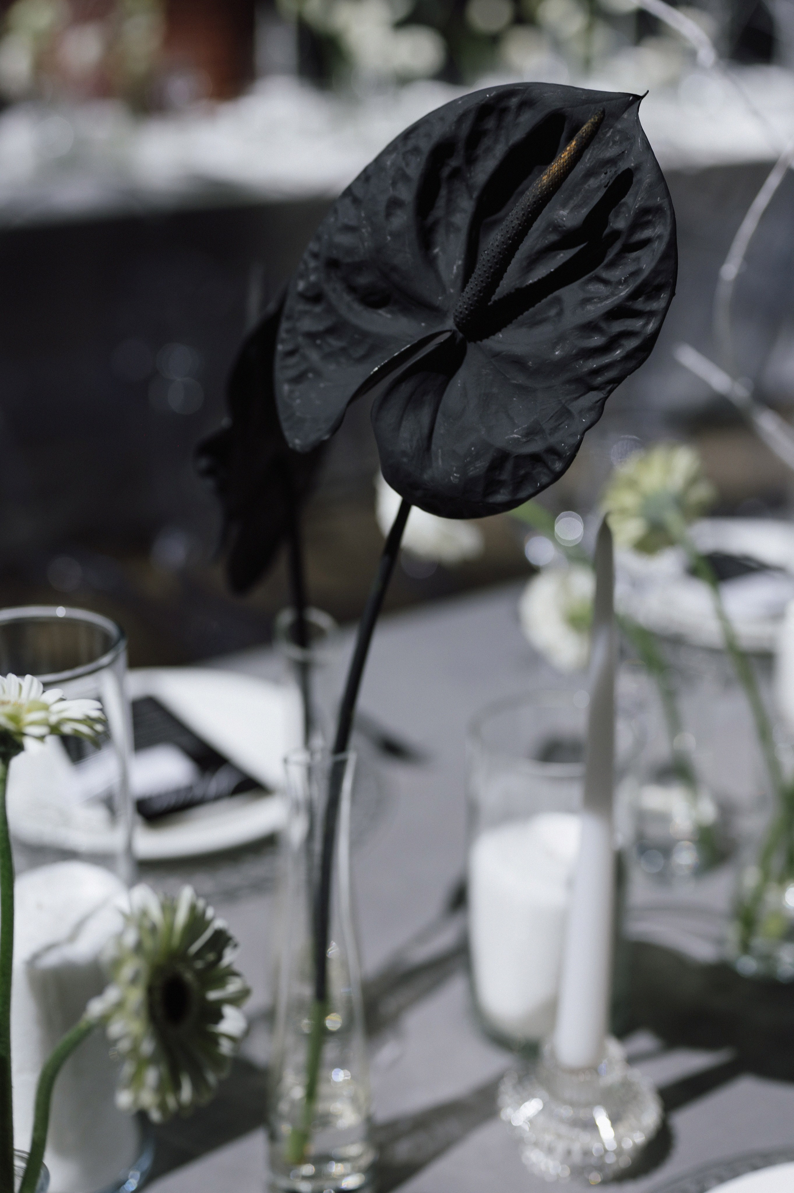 Fedor | Ilona. Свадебный фотограф Сергей Скрипник