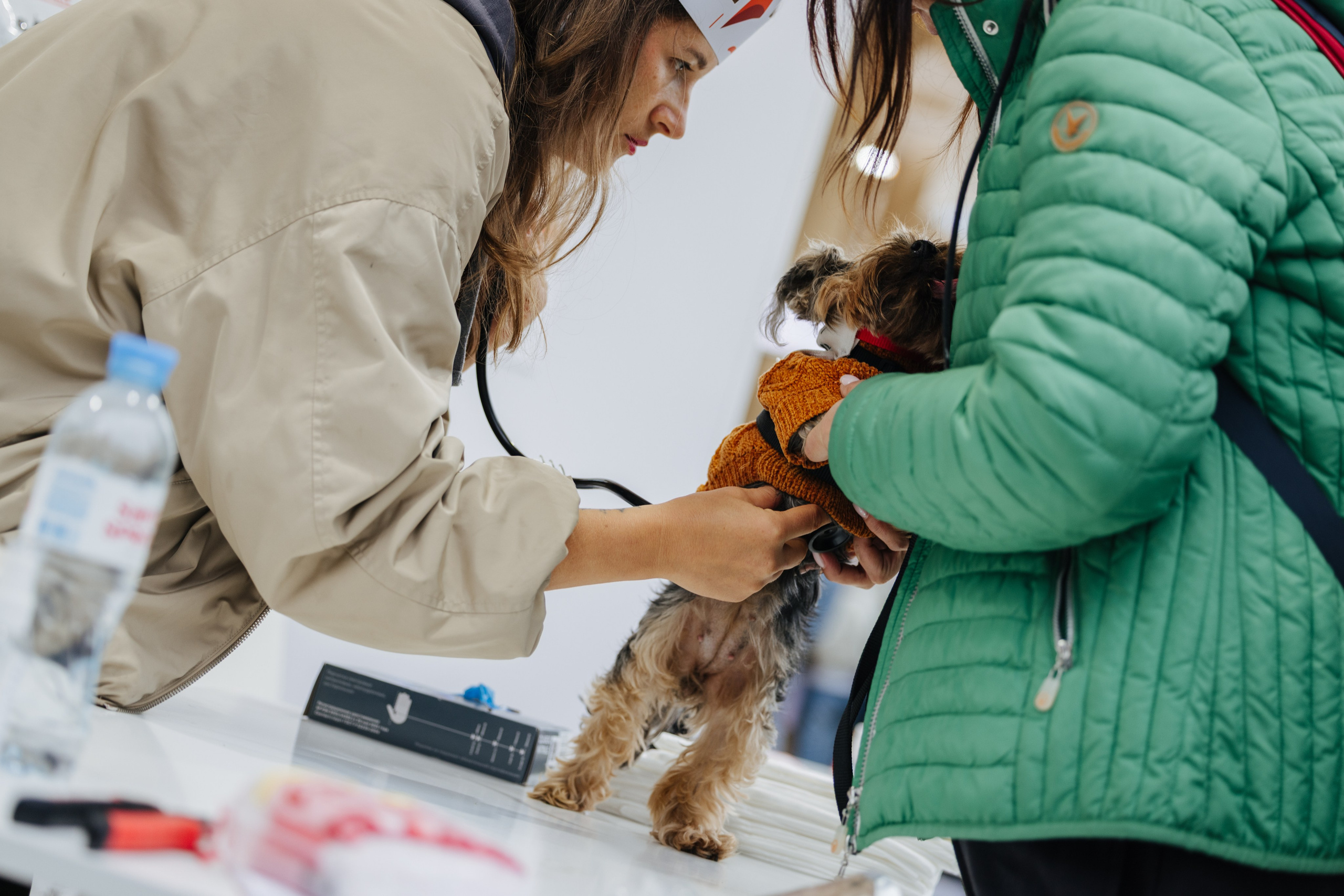 Хвостатый репортаж. Аксана Лисовская фотограф в Москве. Фотографии с характером