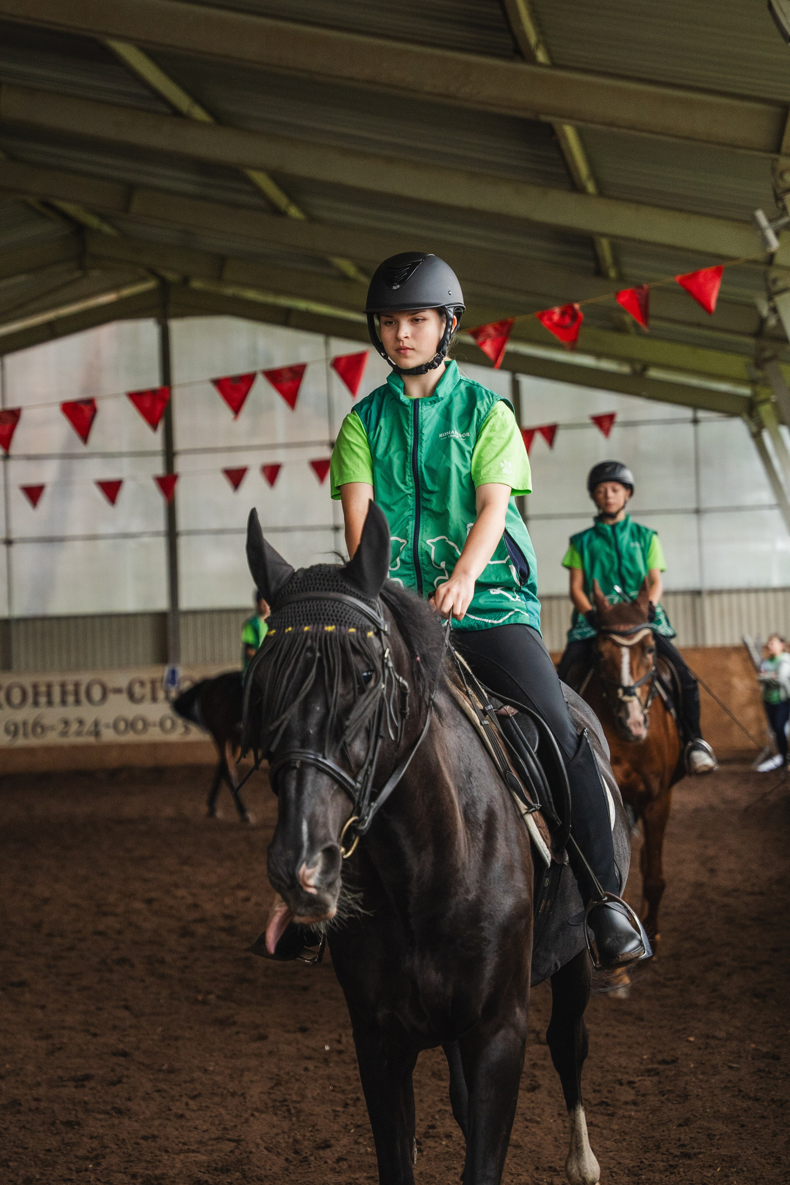 Конное занятие. Главная