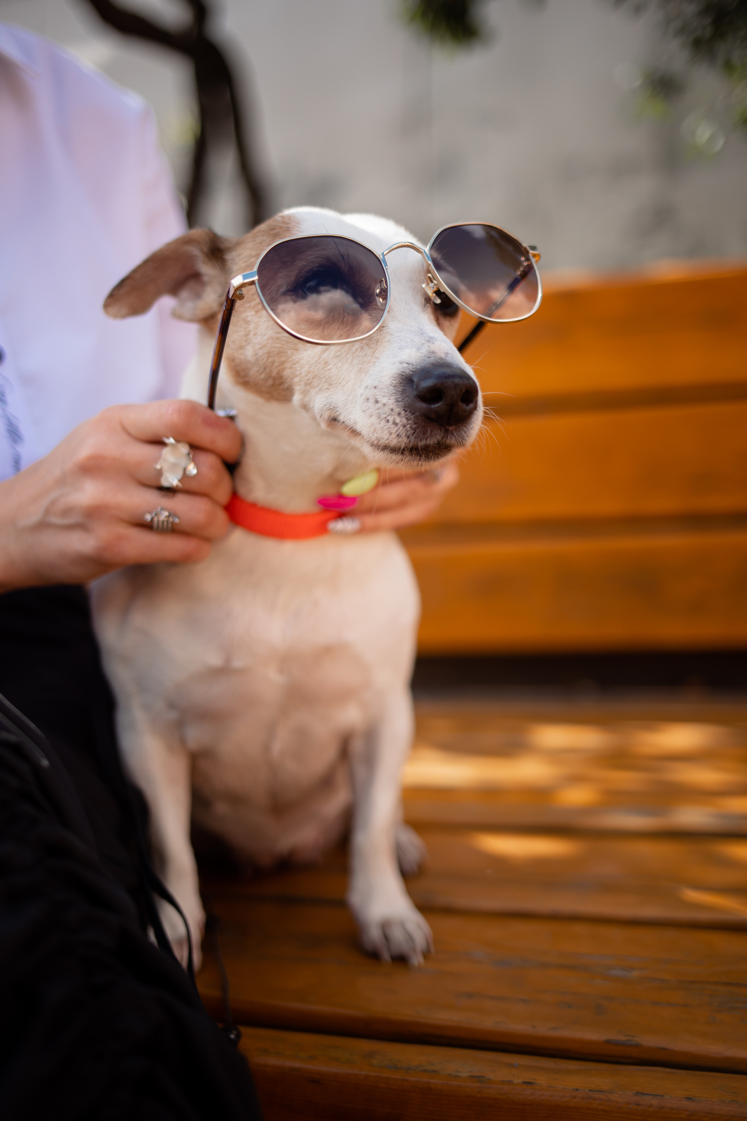 Мама и дочка. Семейный и детский фотограф в Москве Кузьмина Мария