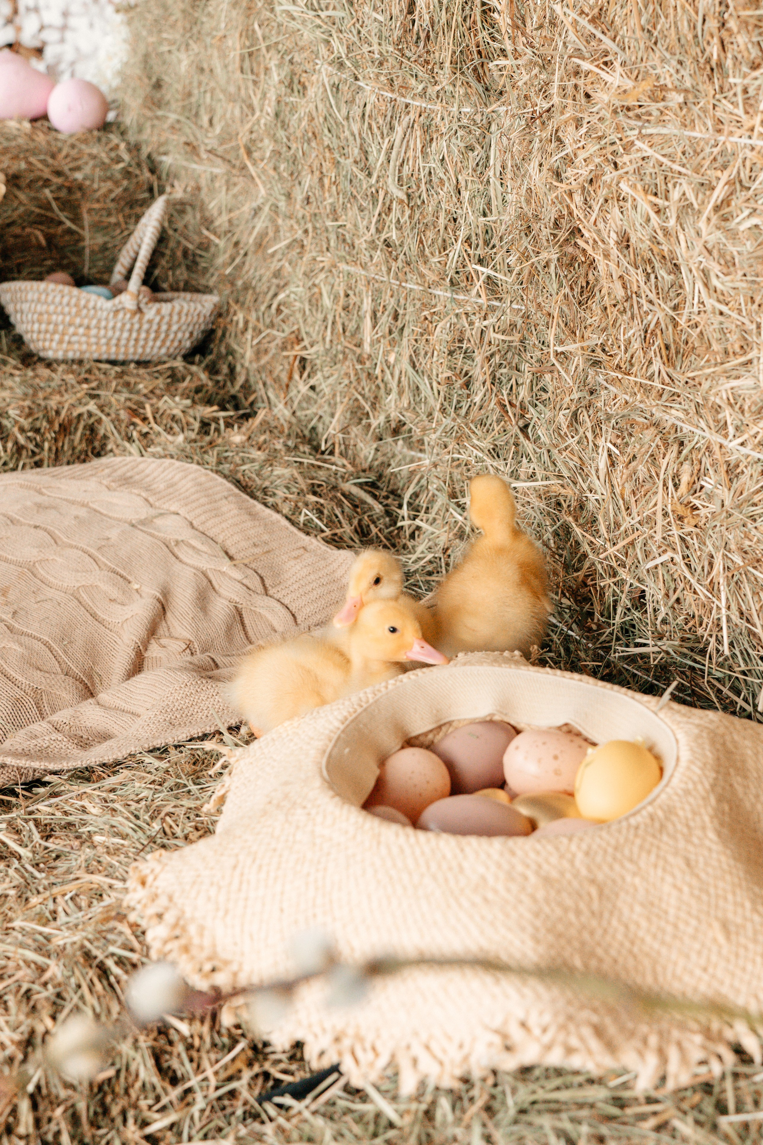 Сердечная встреча на Пасху. Ваш семейный фотограф в Минске — Вика Трегубова
