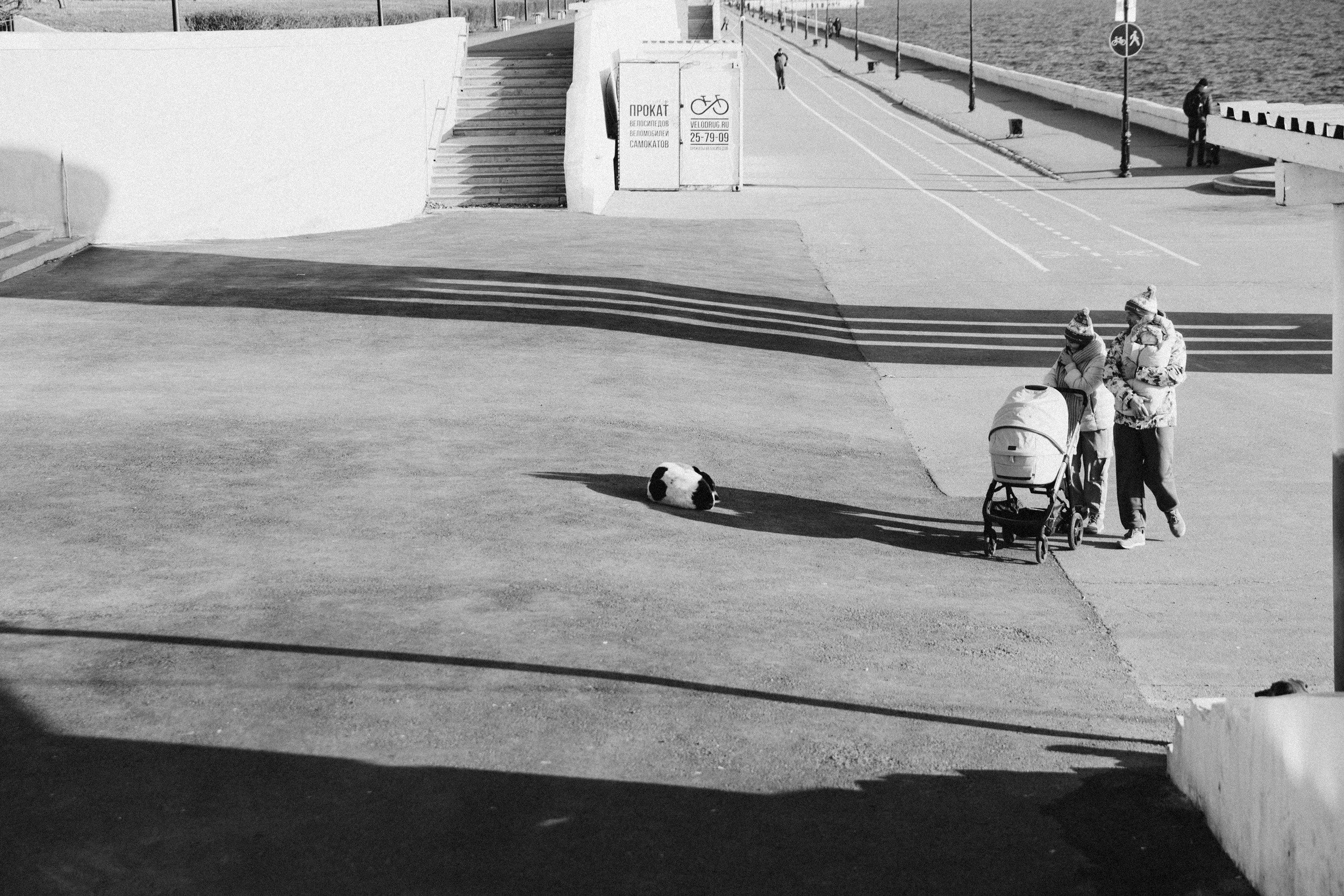 Family. Фотограф Максим Маркелов