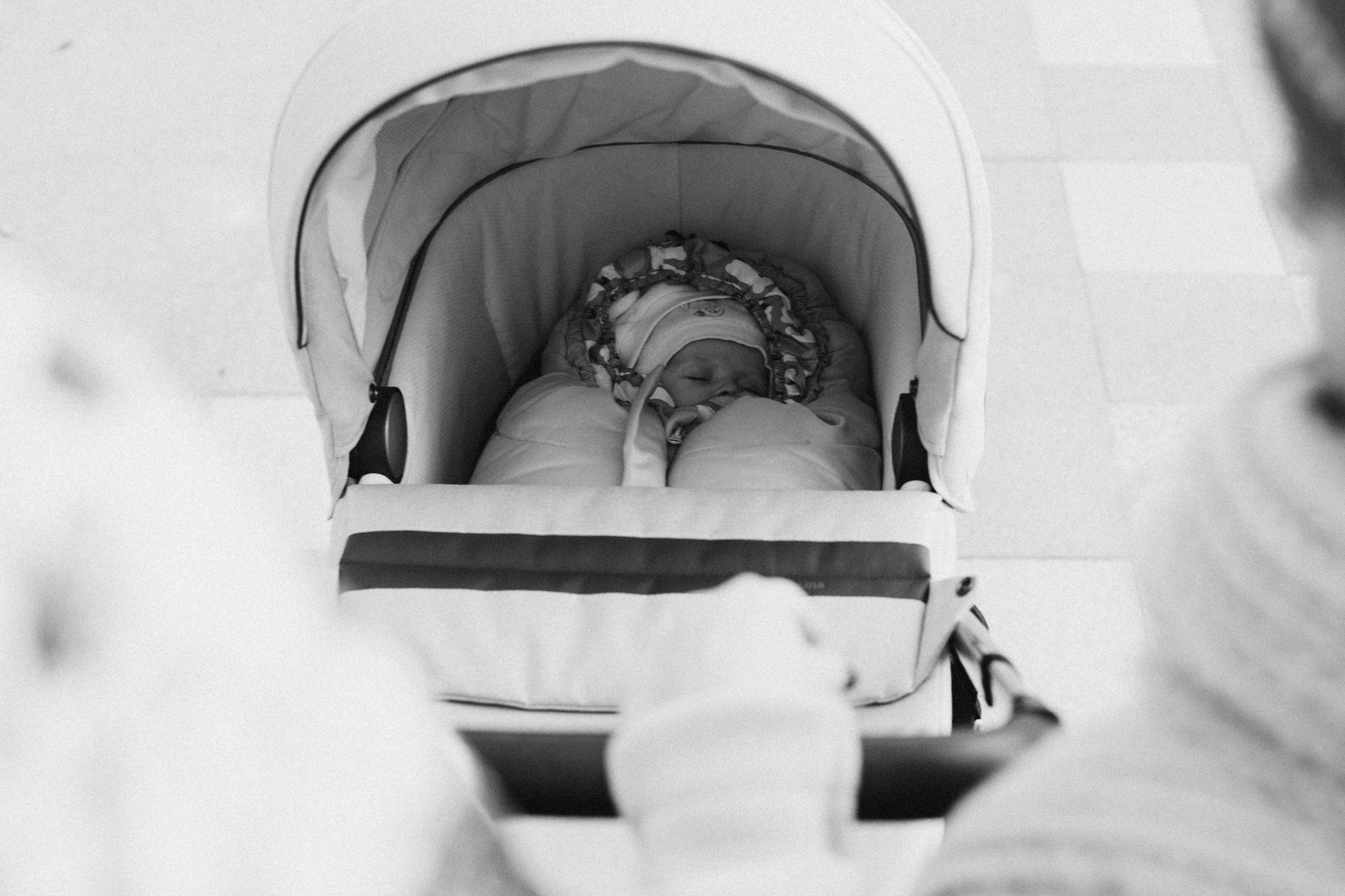 Family. Фотограф Максим Маркелов