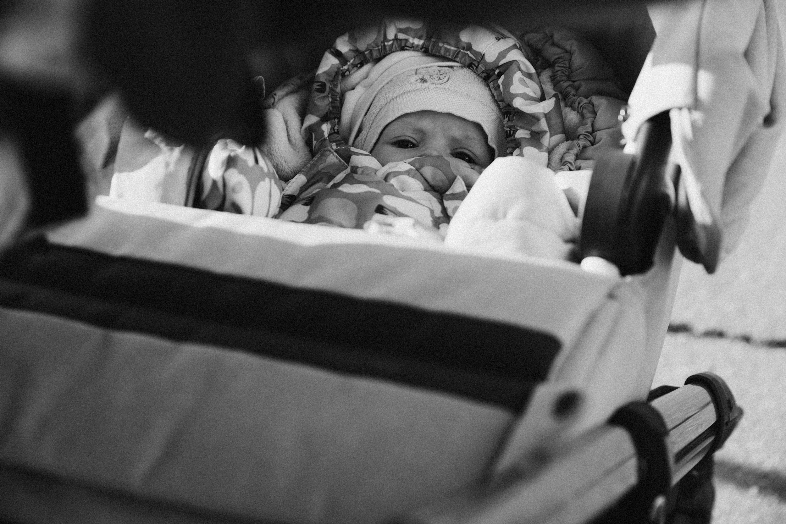 Family. Фотограф Максим Маркелов