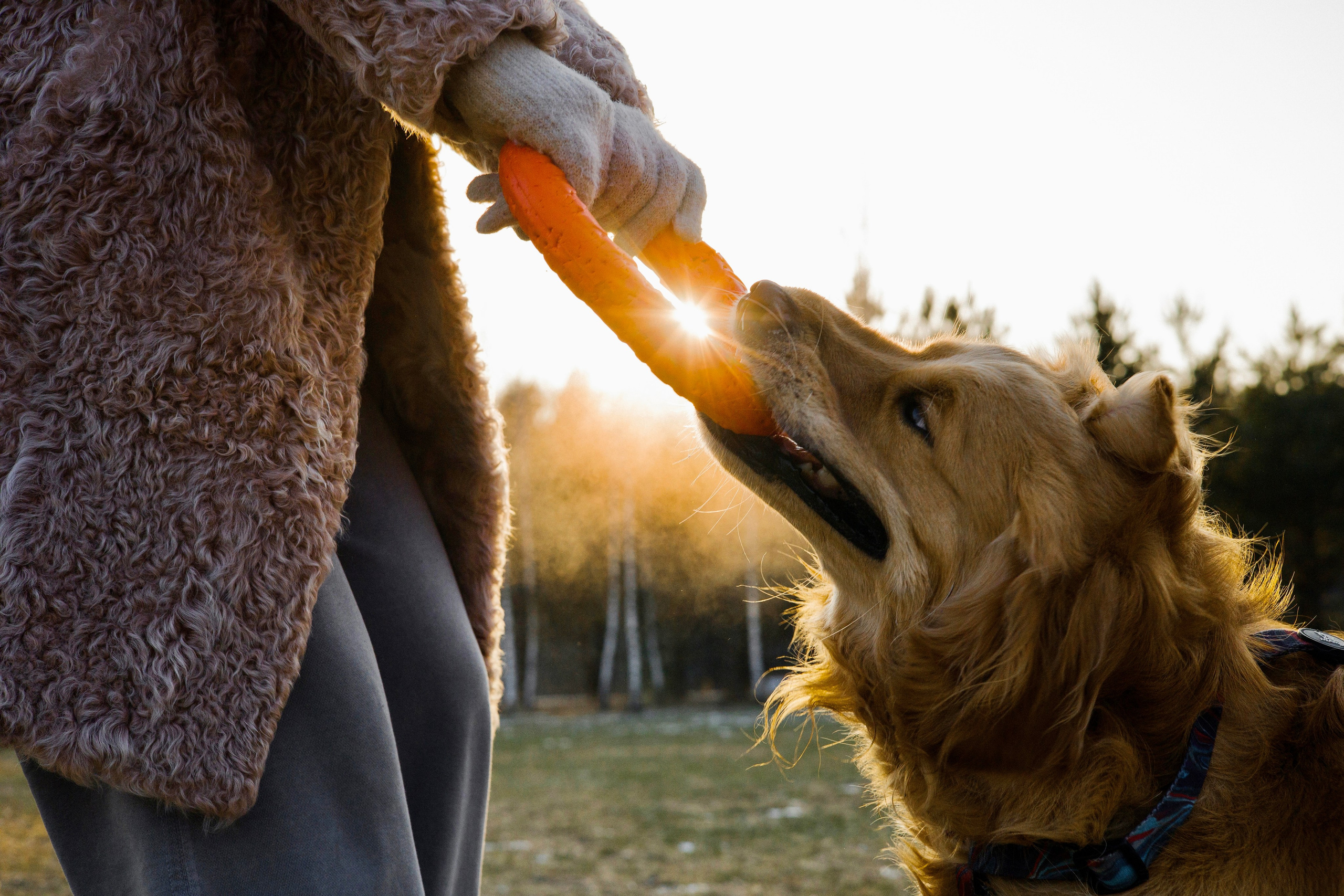 Лёва и Катя. Фотограф-анималист Ксения Шевцова|Москва