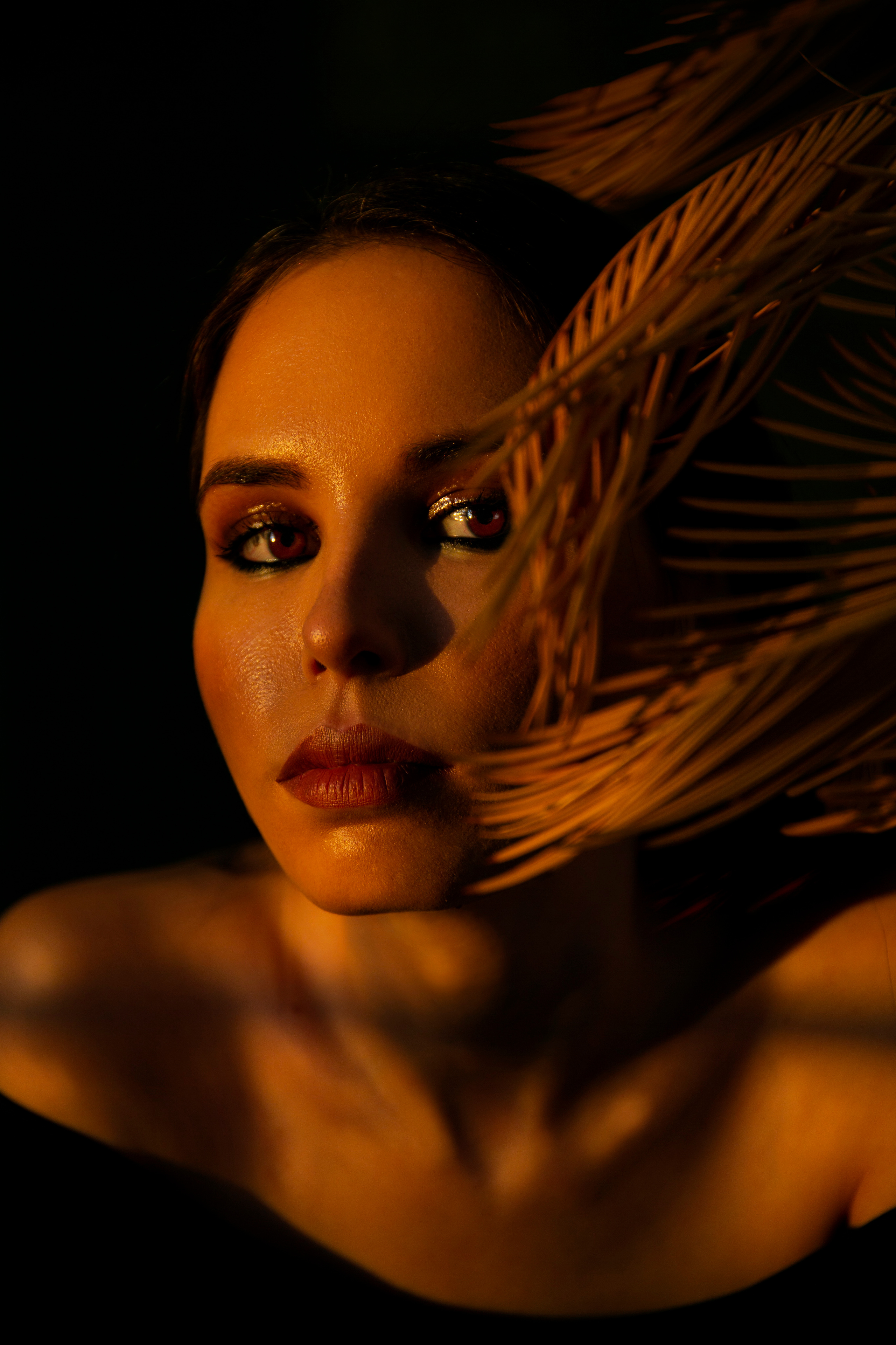 Галерея. Фотограф, который поместит ваше фото в журнал