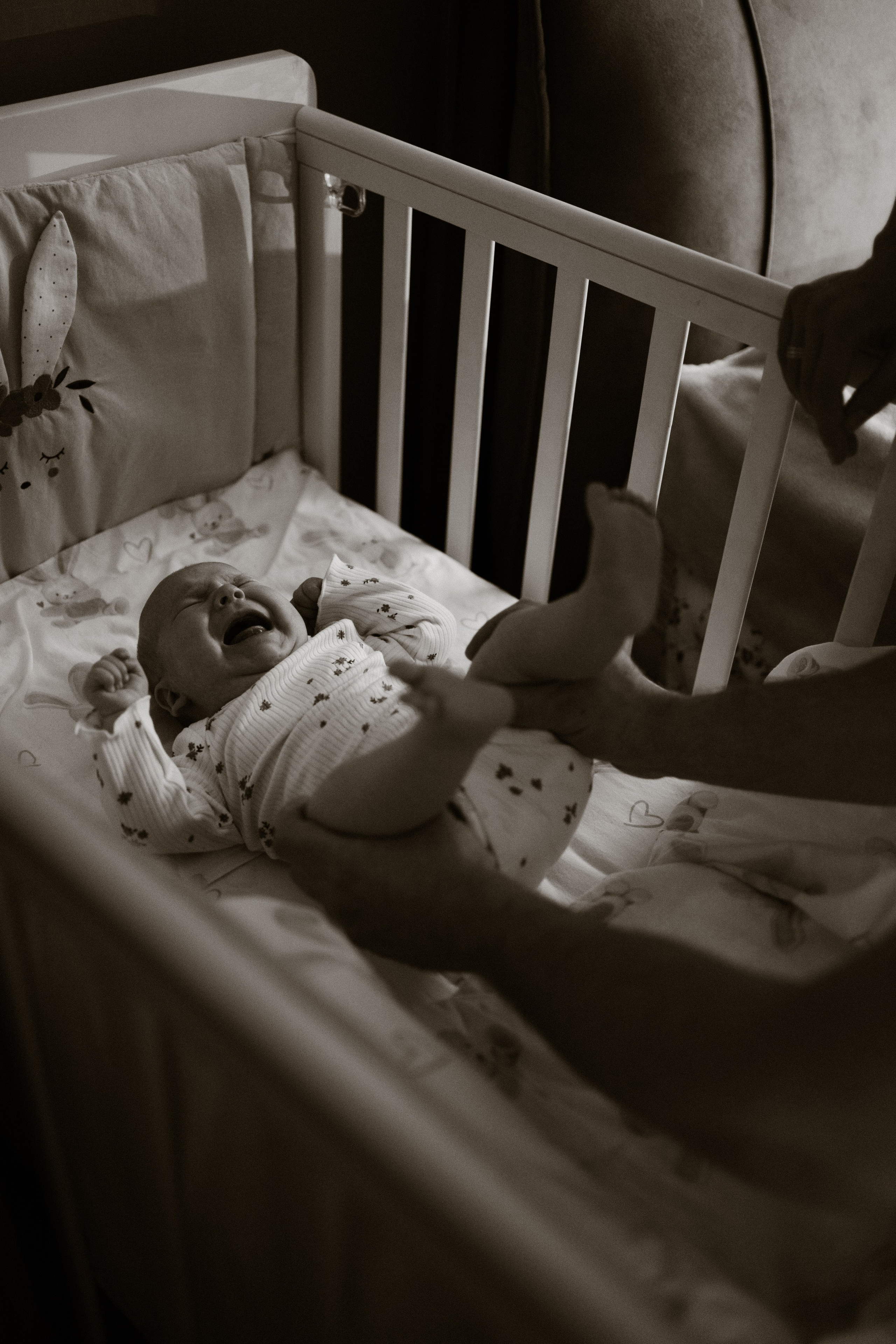 Настя, Антон, Яроша, Агата и Цезарь. Фотограф в Минске — Мария Миллс