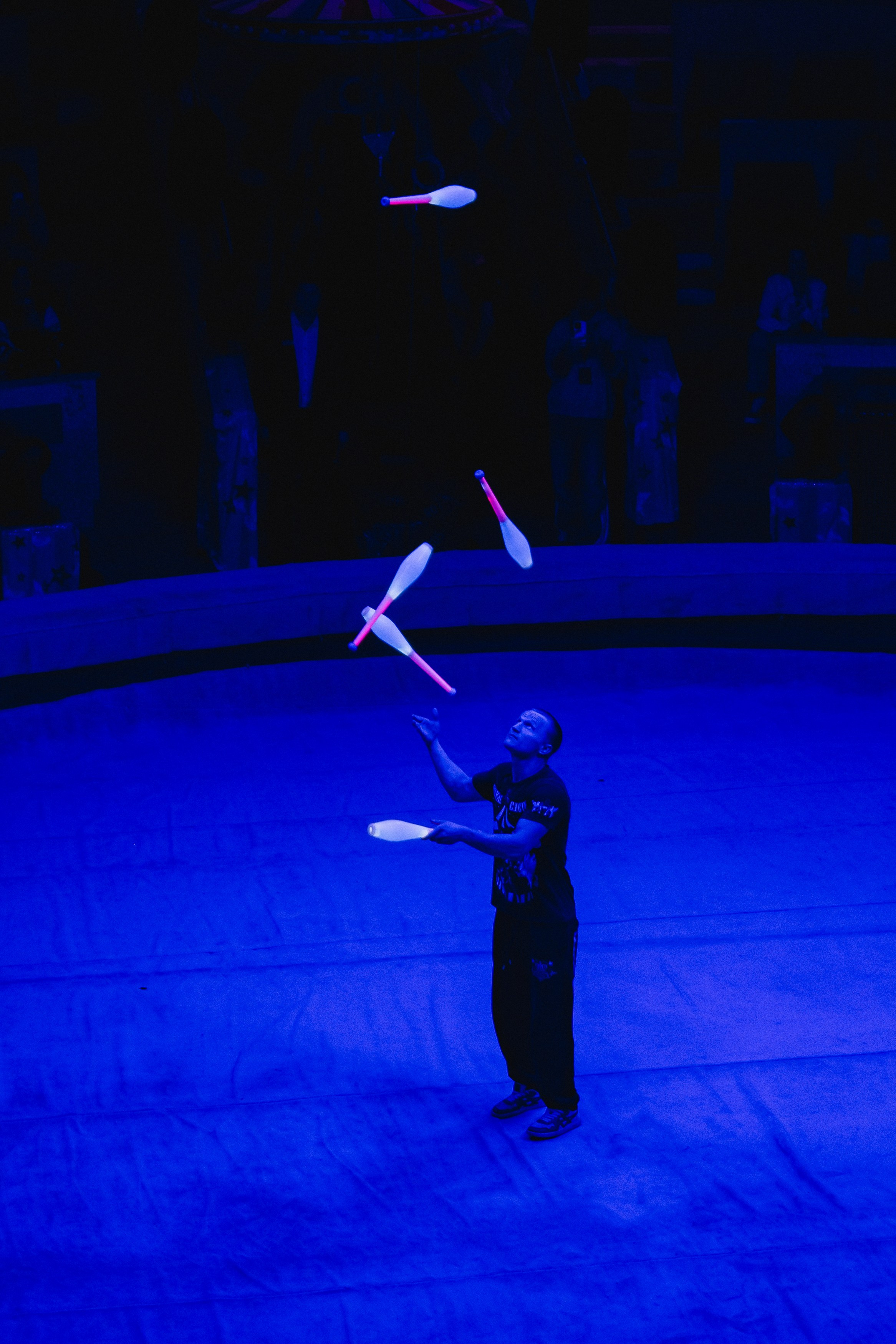 5 Континентов — Открытая репетиция. Воробьева Ксения — Спортивный и танцевальный фотограф Новосибирск