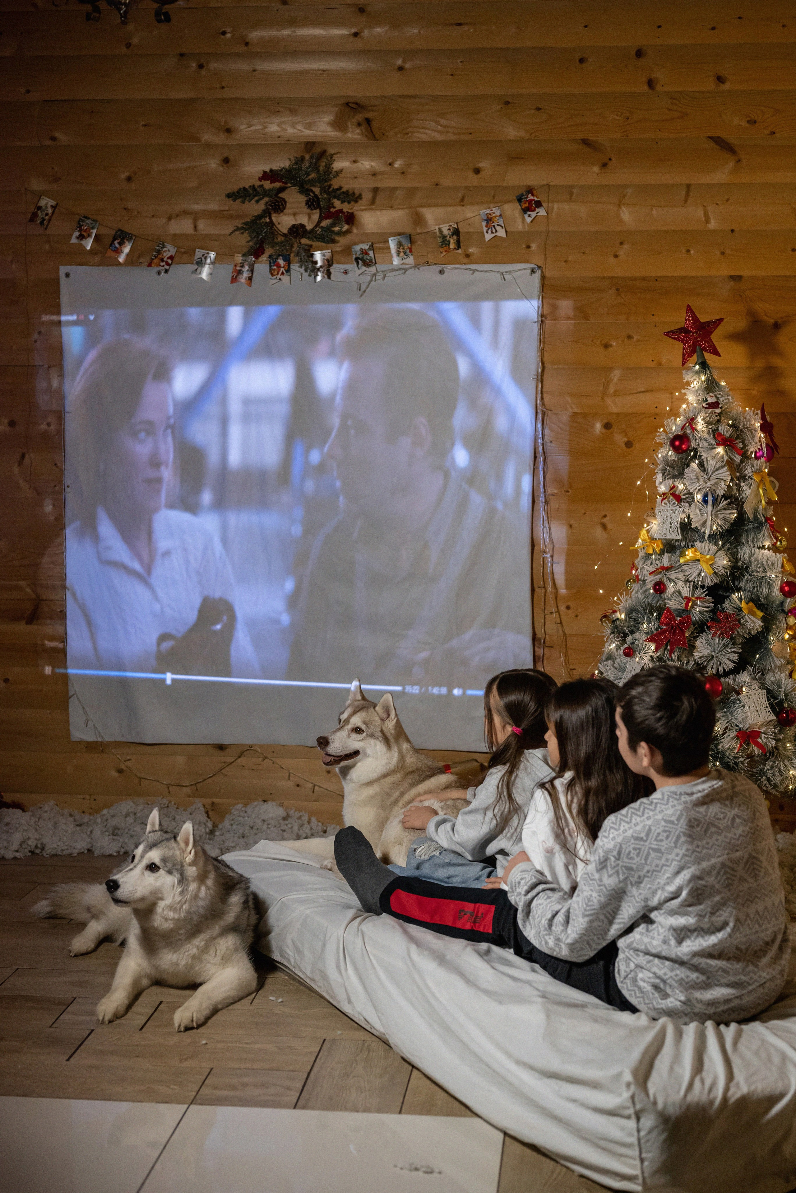 Фотопроект с хаски 2025 г. Фотограф в городе Салават