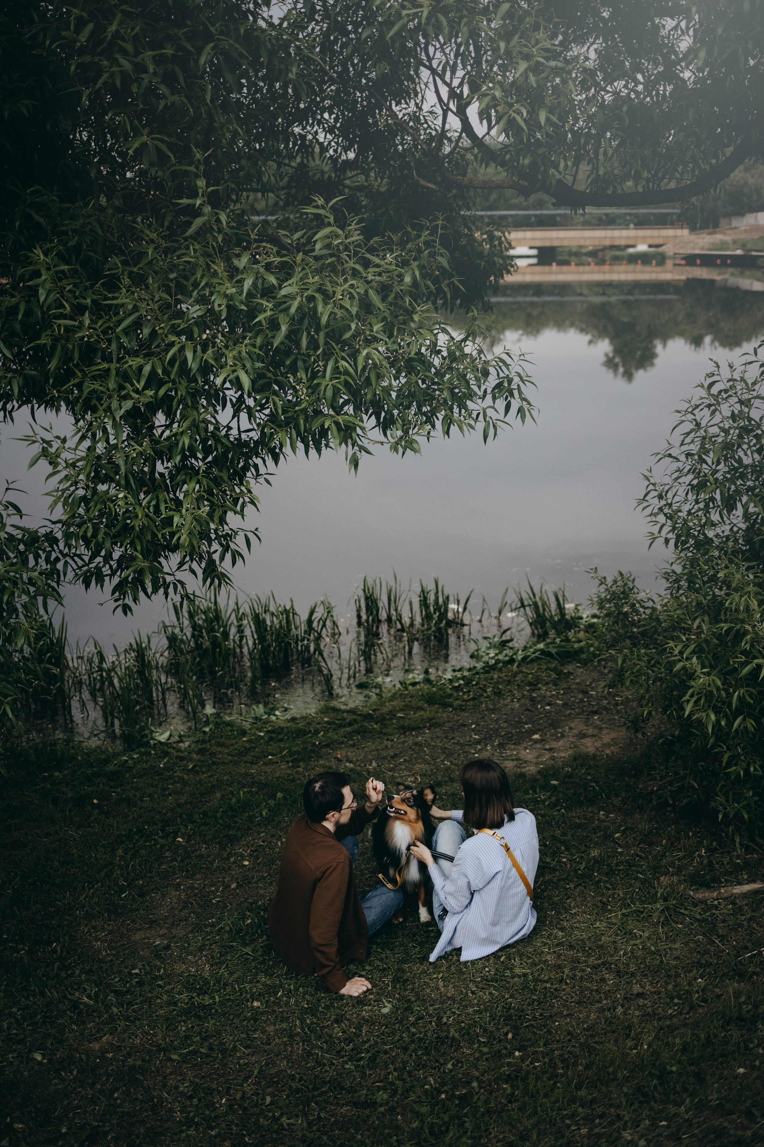 Настя, Никита и их Гром и Мяу. Фотограф — Анималист | Санкт-Петербург