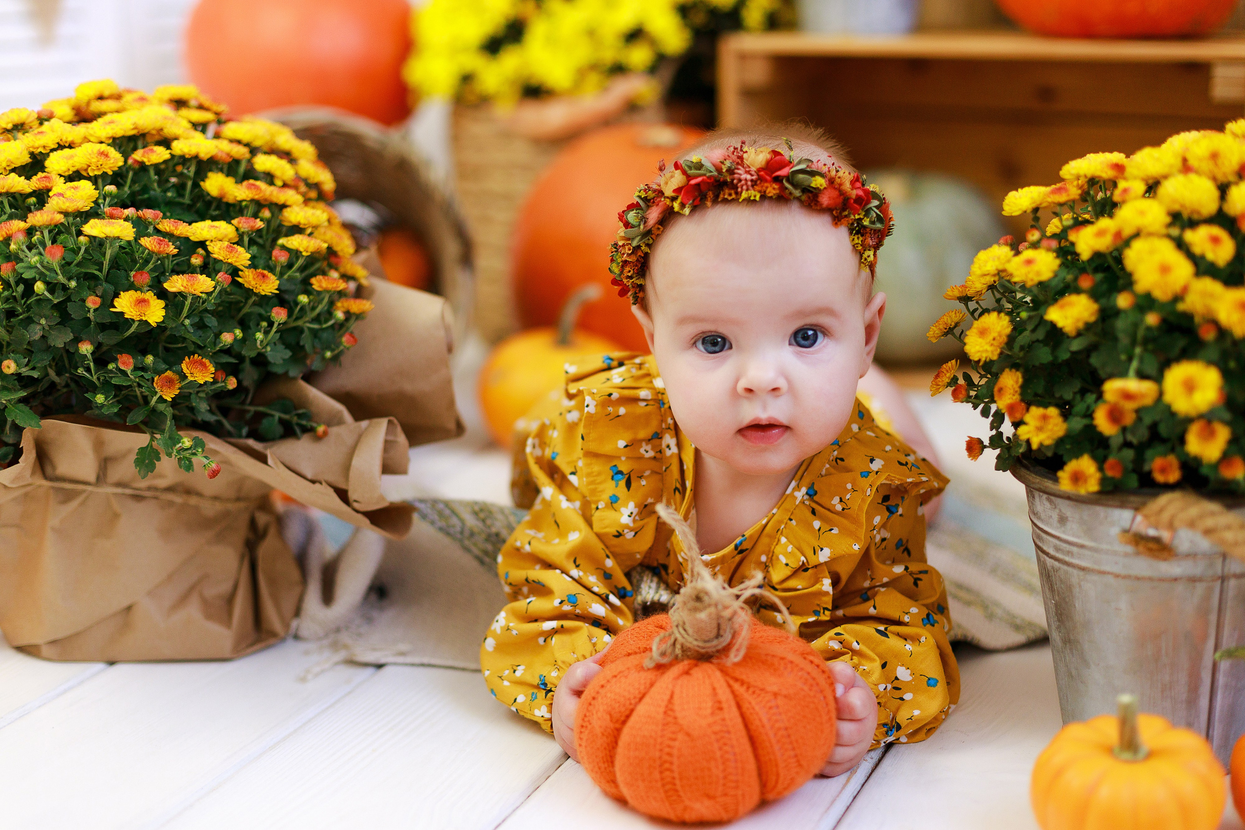 Осенняя детская фотосессия с тыквами и кроликом в Краснодаре. Детский и семейный фотограф в Краснодаре Альбина Морозова