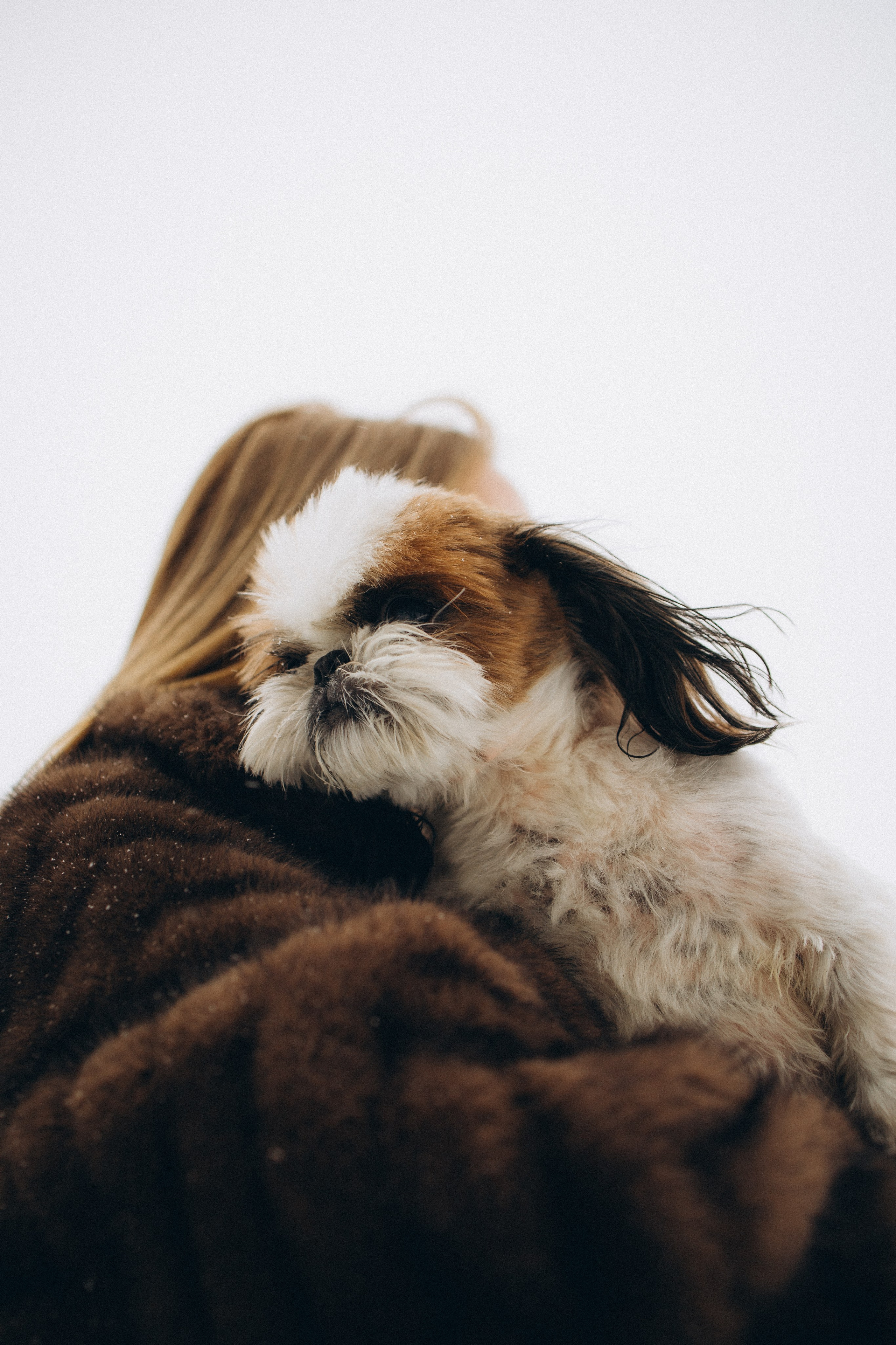 Ксюша & Зевс. Семейный фотограф Питер •love-story•|Санкт-Петербург