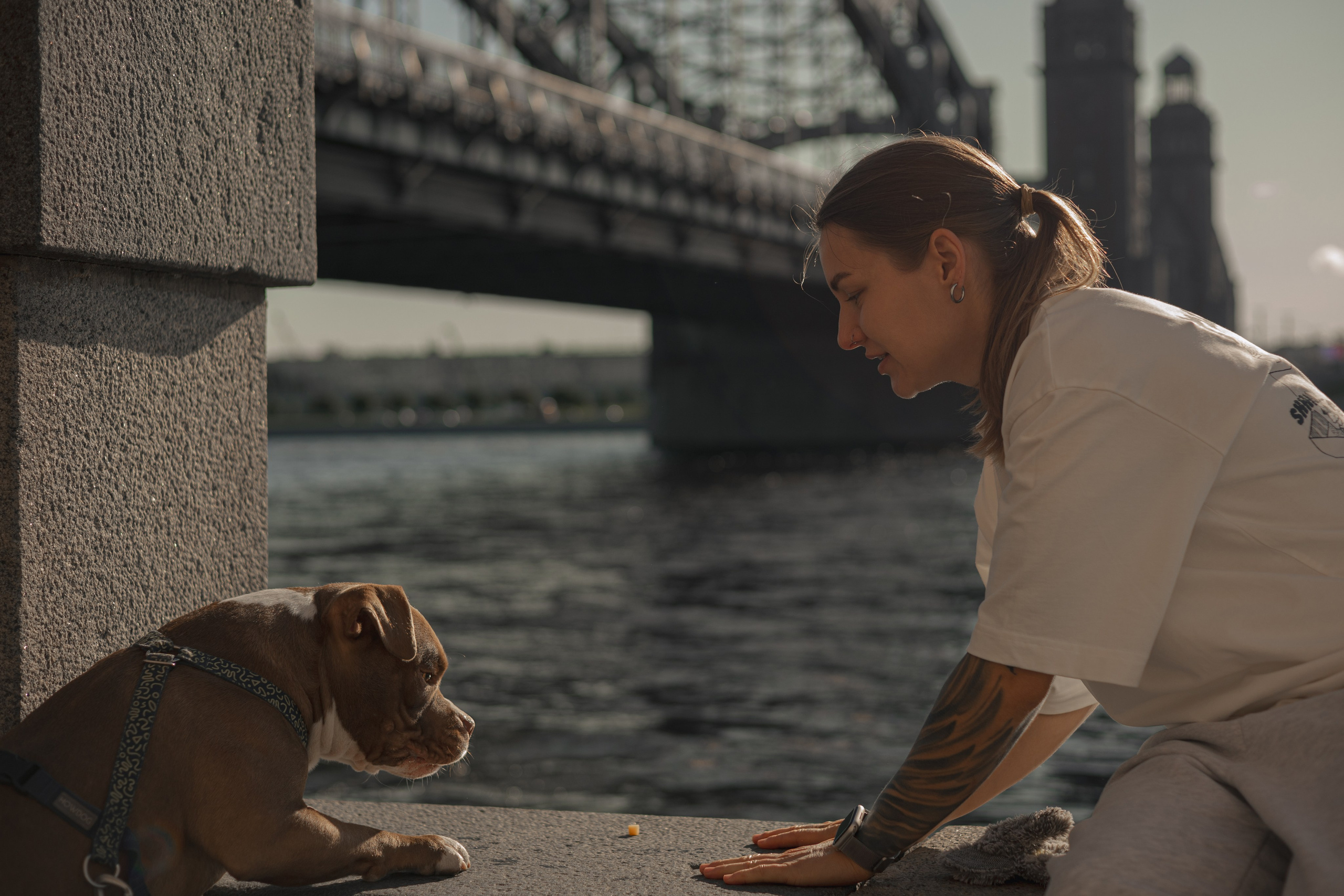 Анжела & Арес. Фотограф — анималист •love-story•|Санкт-Петербург