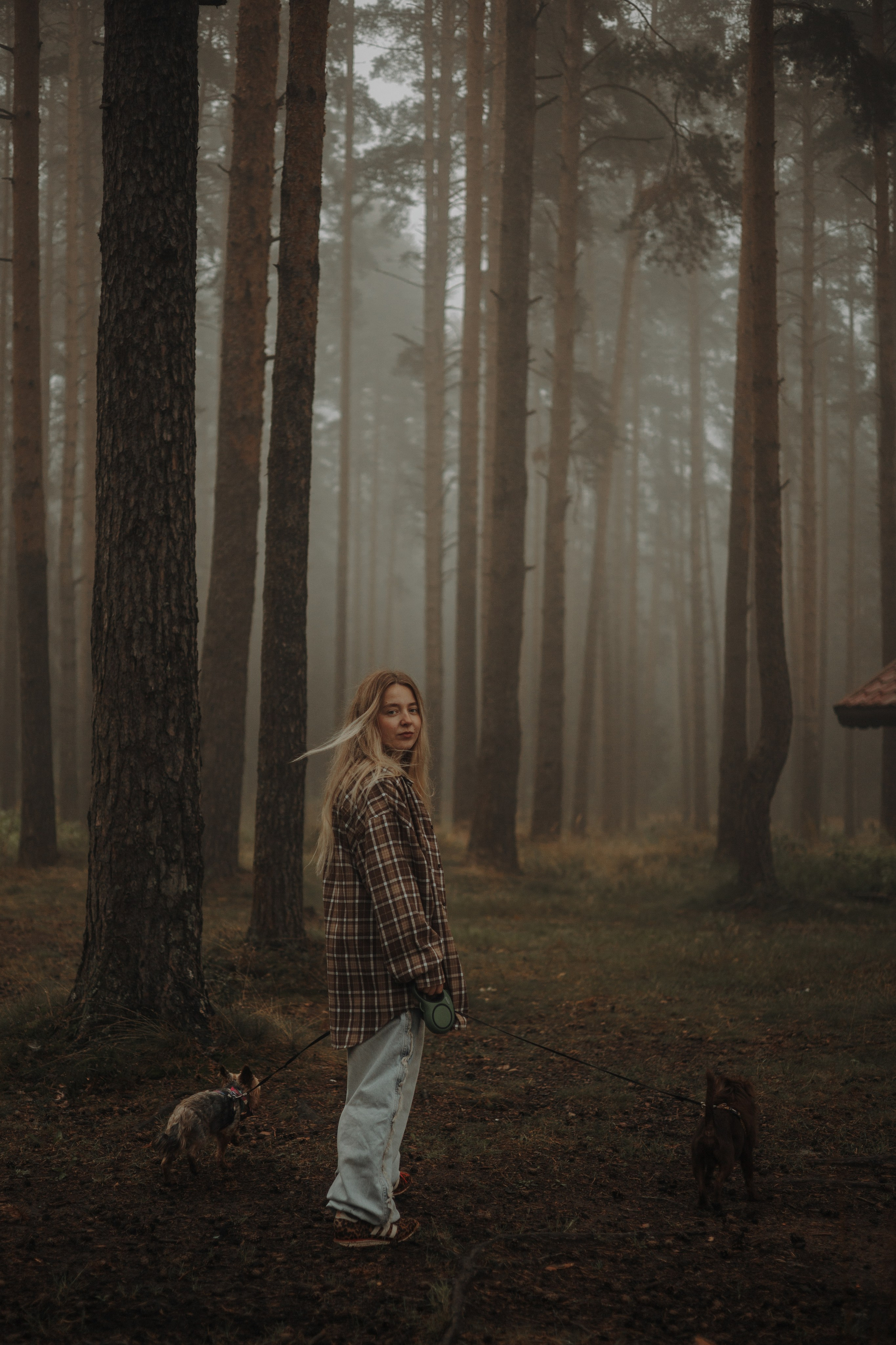 Наташа & Оззи & Йоша. Фотограф — анималист •love-story•|Санкт-Петербург