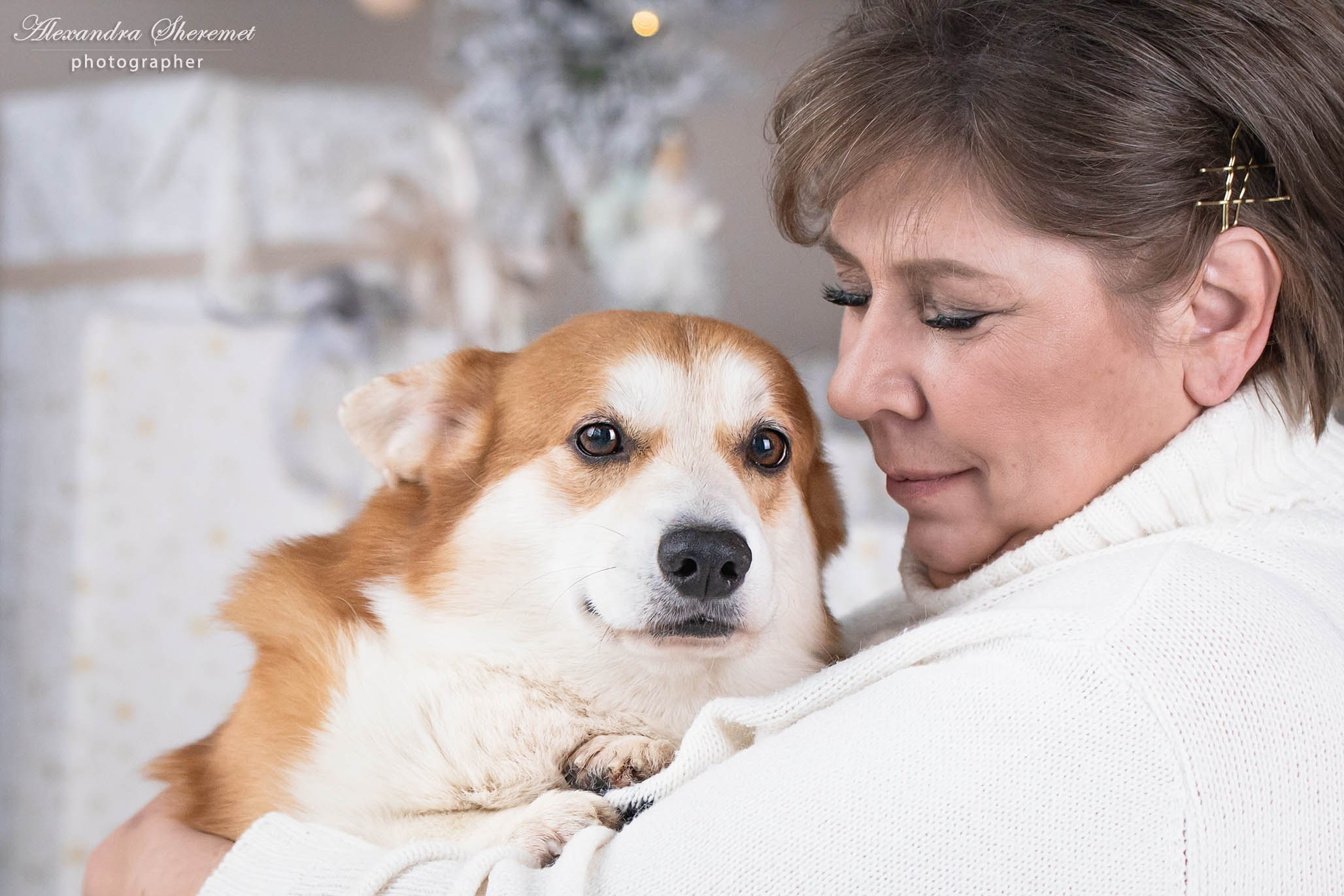 Лена & корги. Фотограф-анималист Александра Шеремет