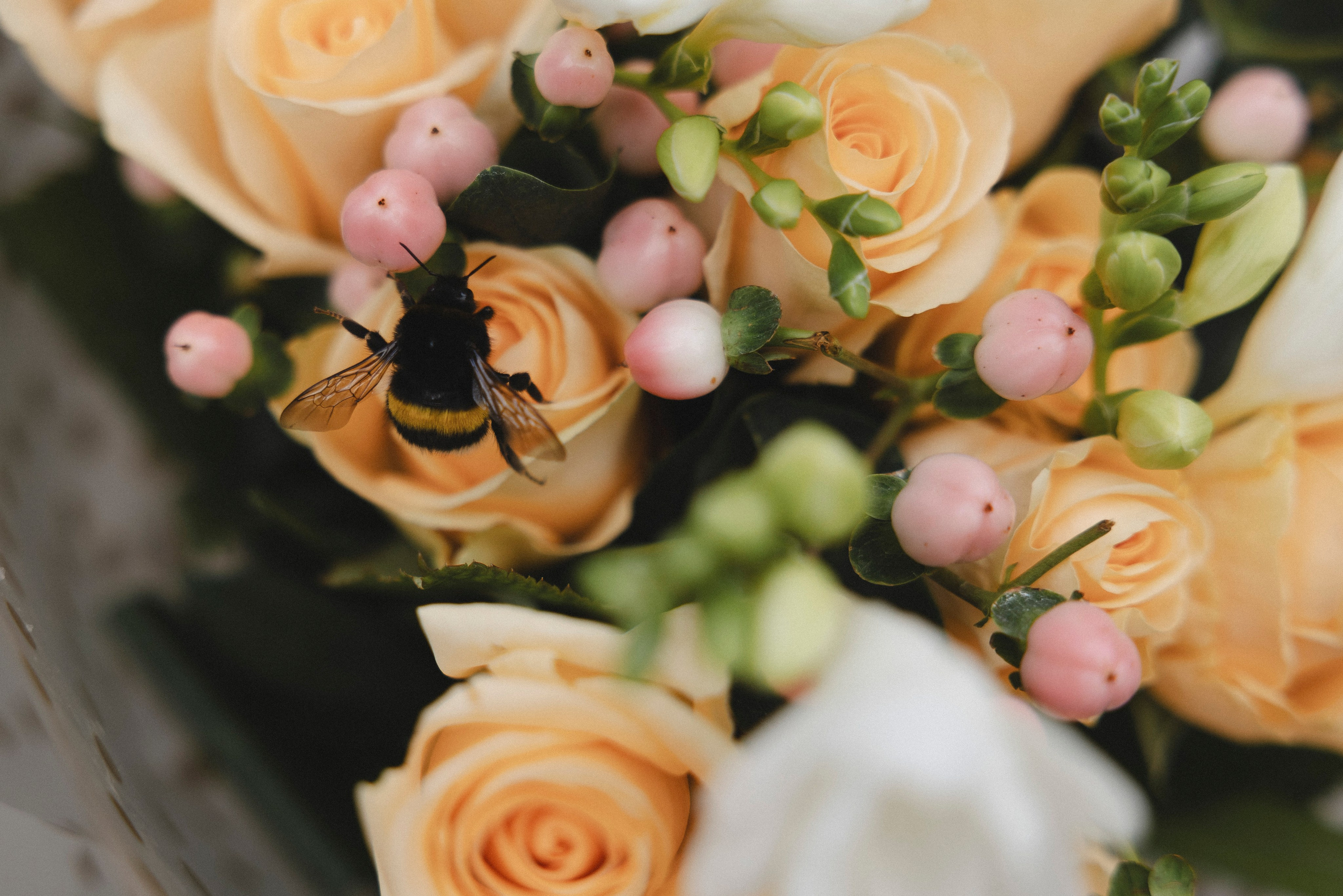 Саша и Гриша. Репортажный фотограф в Санкт-Петербурге и Москве Мария Ежова