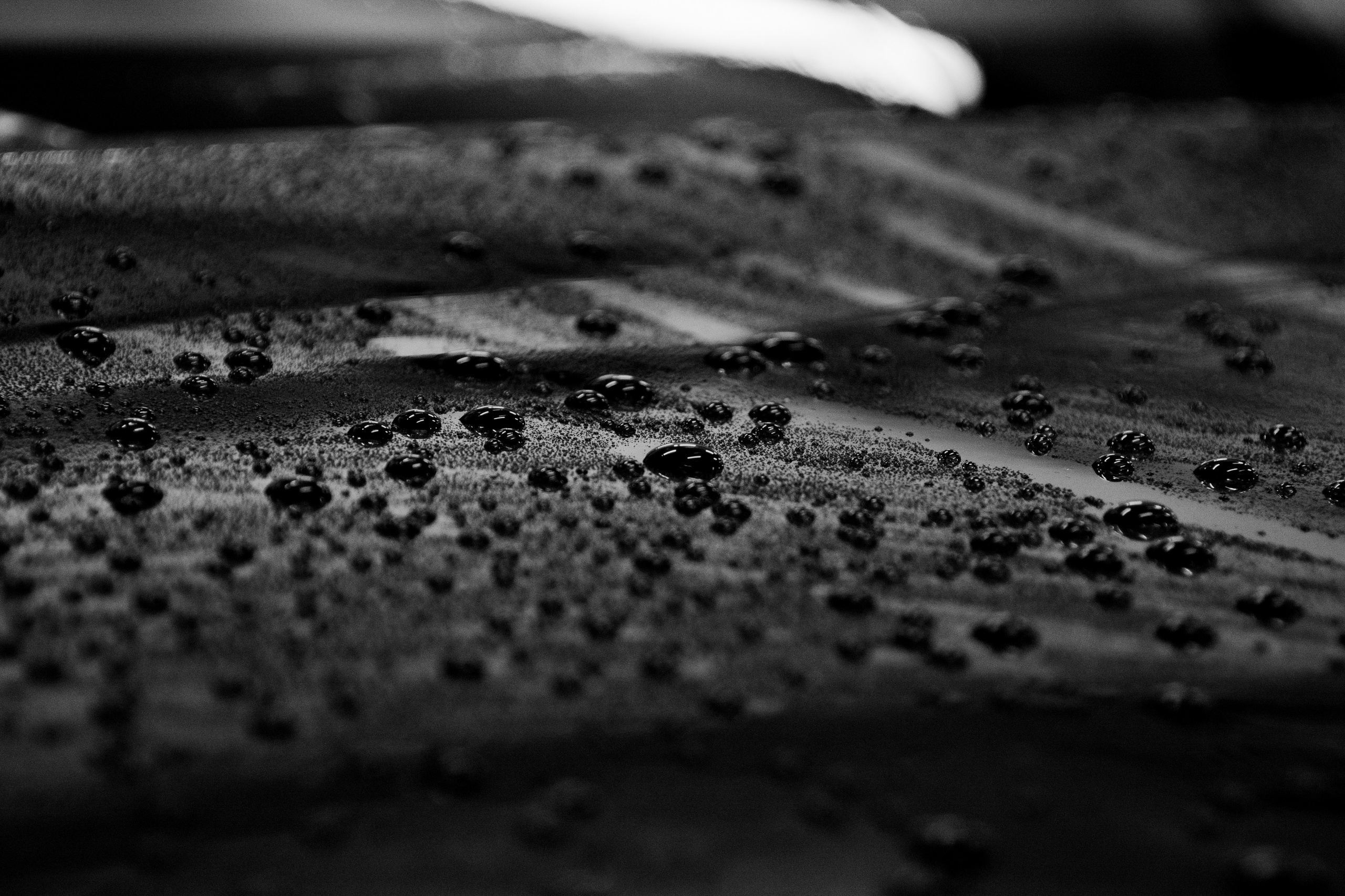 Sam Detailing. Семейный и репортажный фотограф в Хабаровске Татьяна Болычева