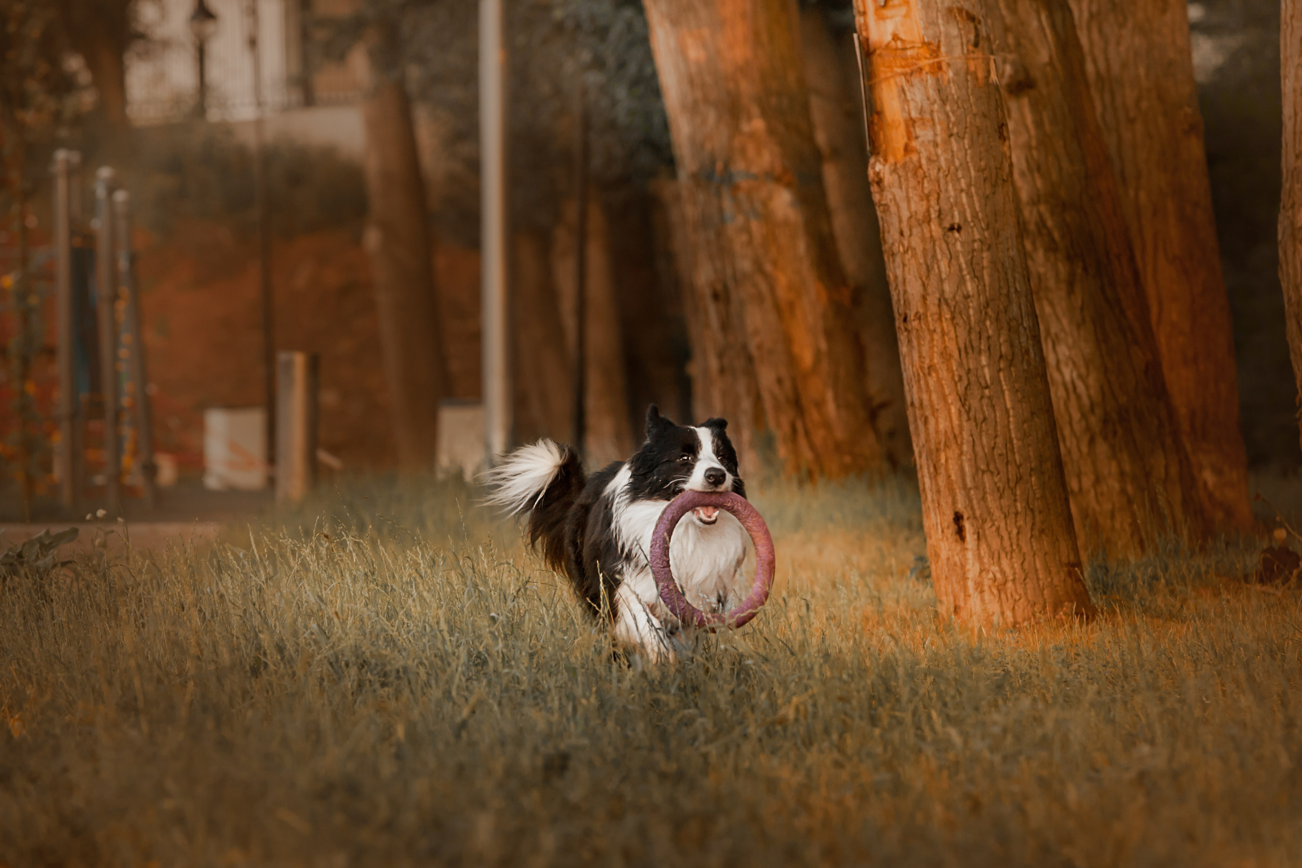 Сочный рассвет, на который решились. О нас