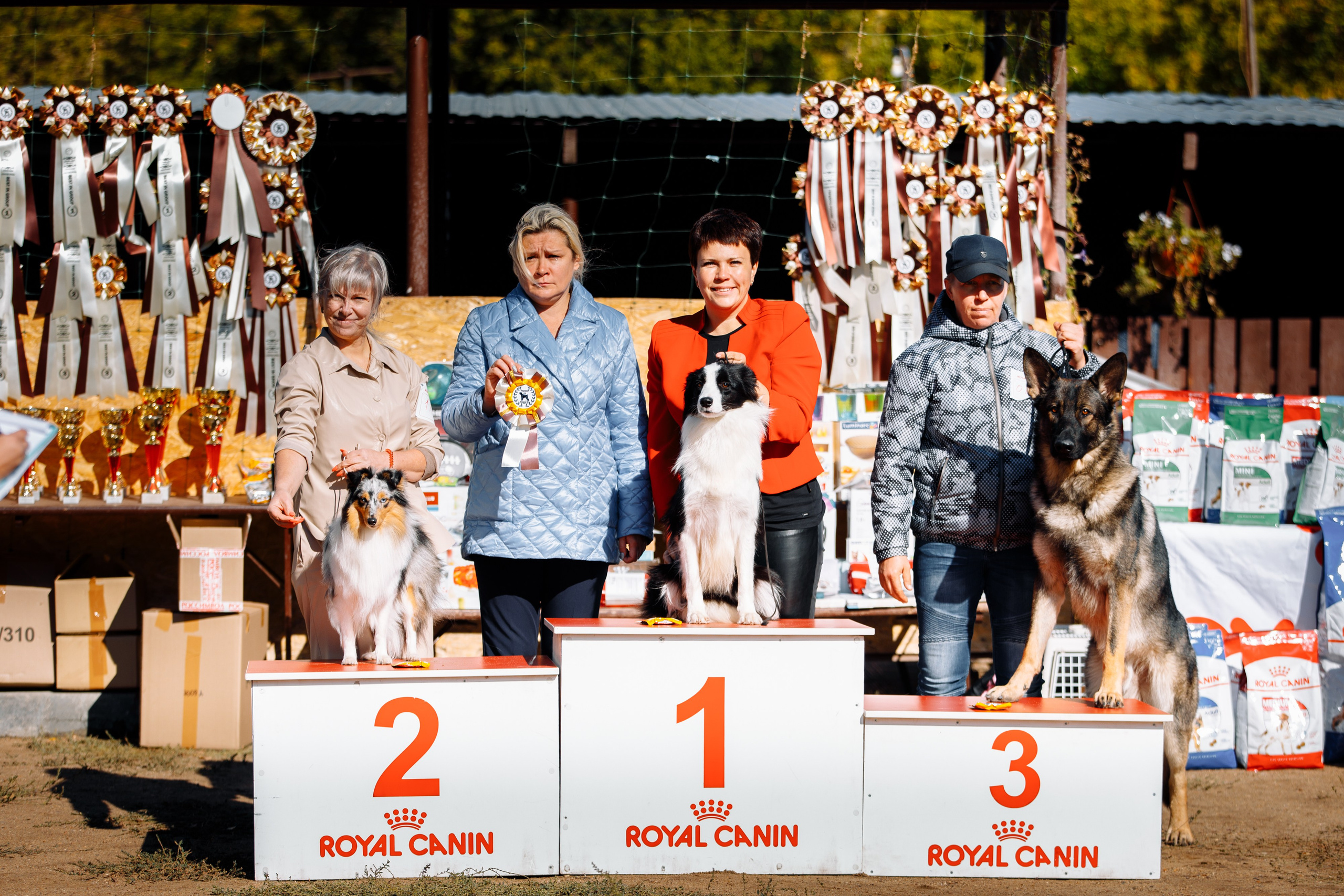 Водяные в Новотроицке. О нас