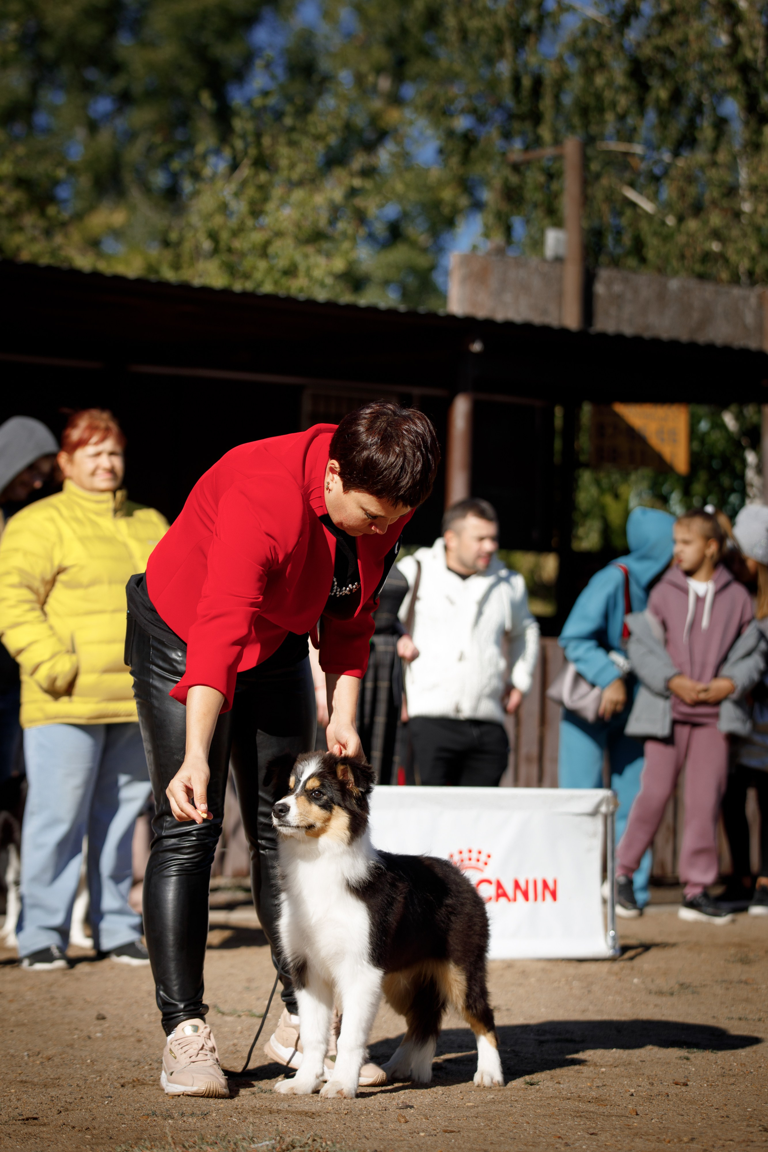 Водяные в Новотроицке. О нас