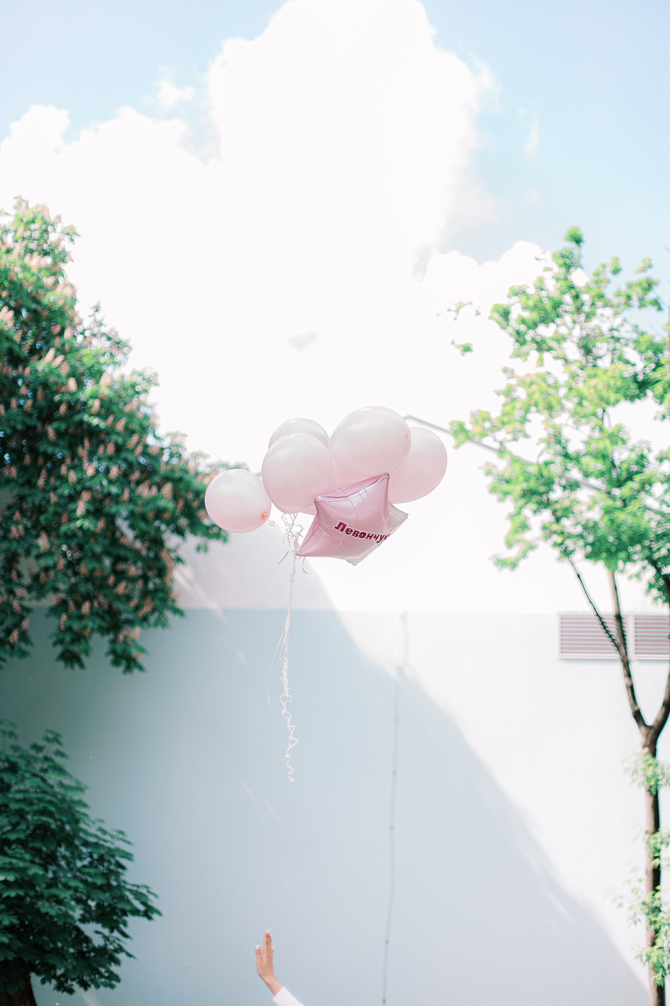 Роспись в Грибоедовском ЗАГСе и немного проуглки по Москве