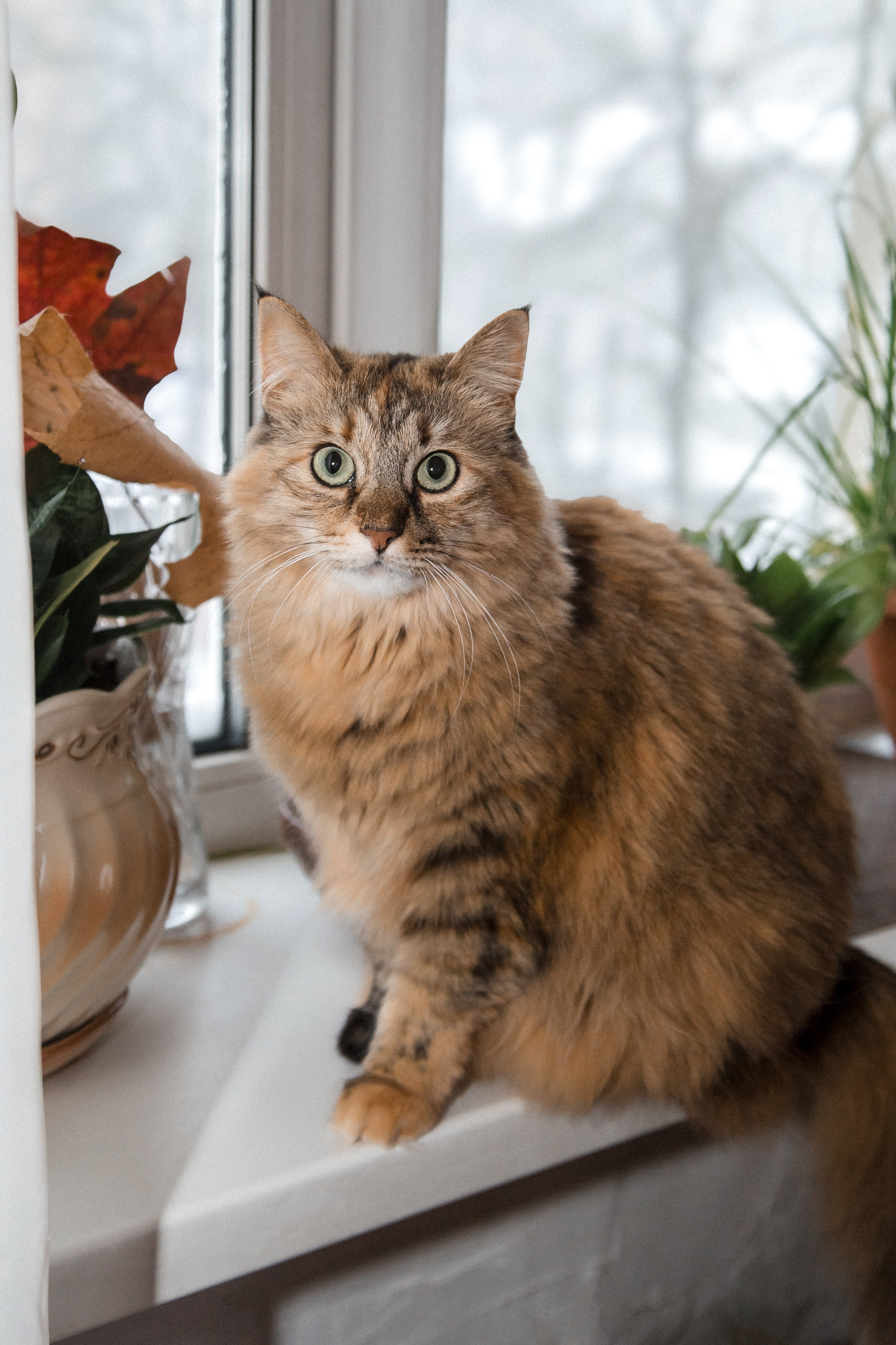 Евгений и Марина. Портретный, семейный, свадебный фотограф в Брянске Маргарита Василькова