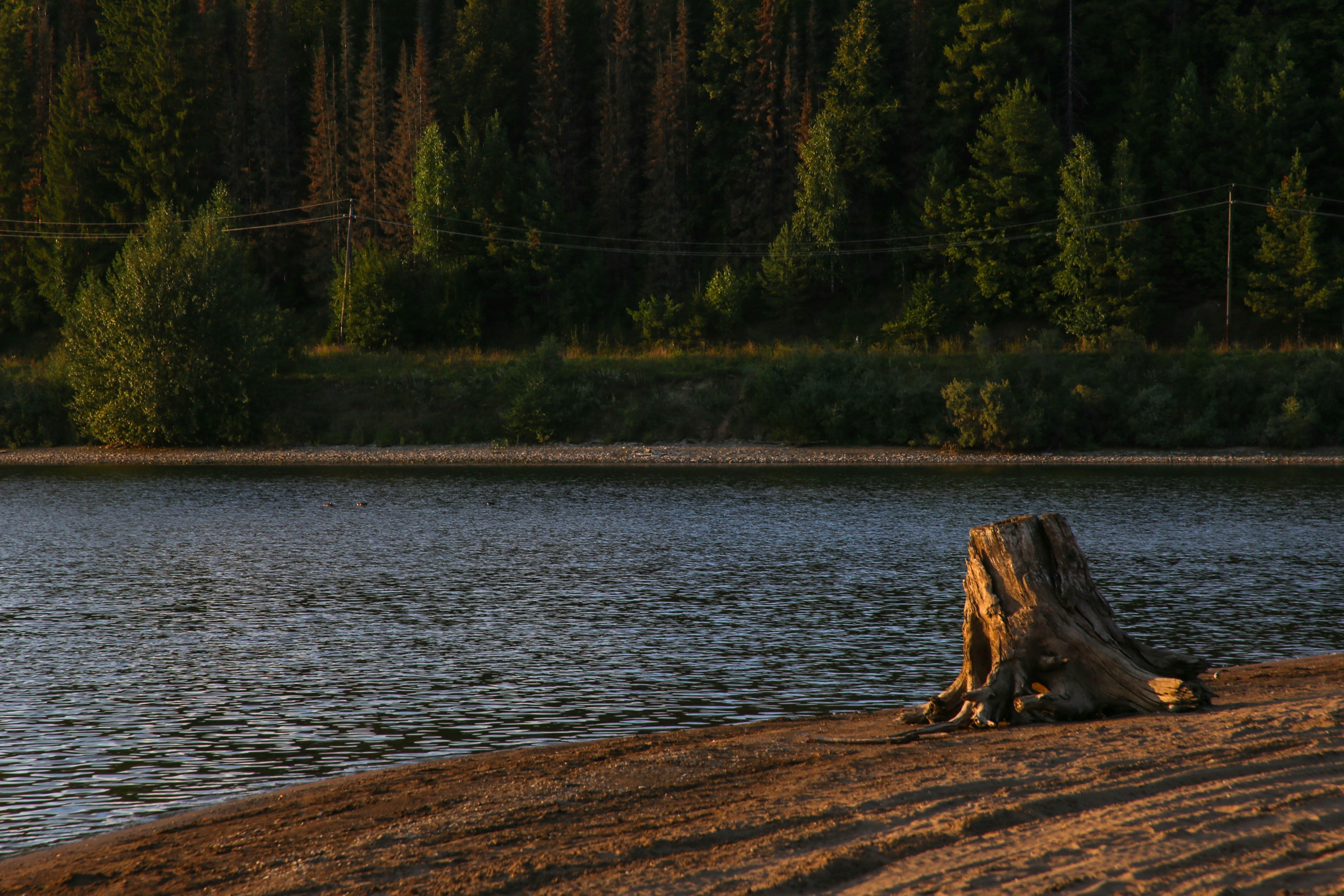 Виды Перми и окрестностей. Фотограф Никита Попов. Фотограф Пермь. Фотосессия в фотостудии Перми и на свежем воздухе