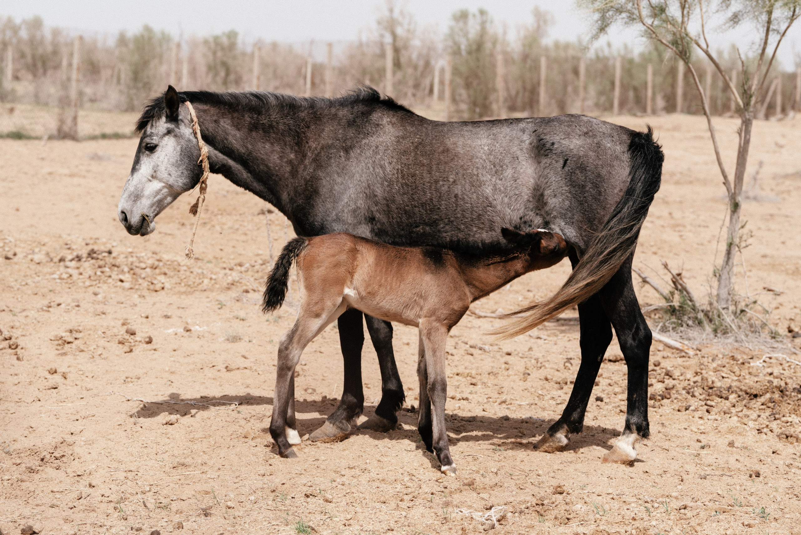 Фотографии Узбекистана. Фотографии Дмитрия Захаренко