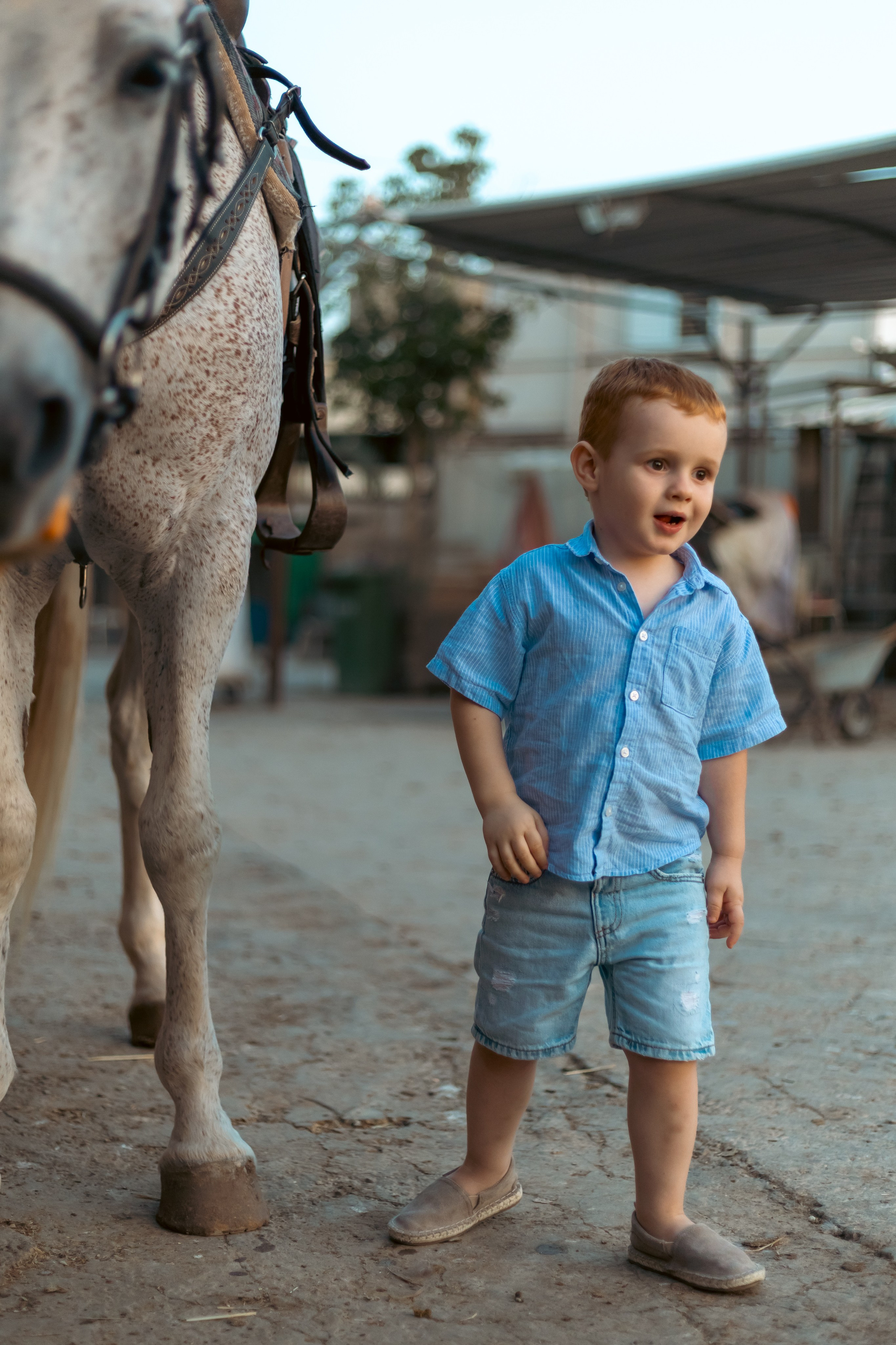 Анна и Амир. Семейный фотограф Израиль