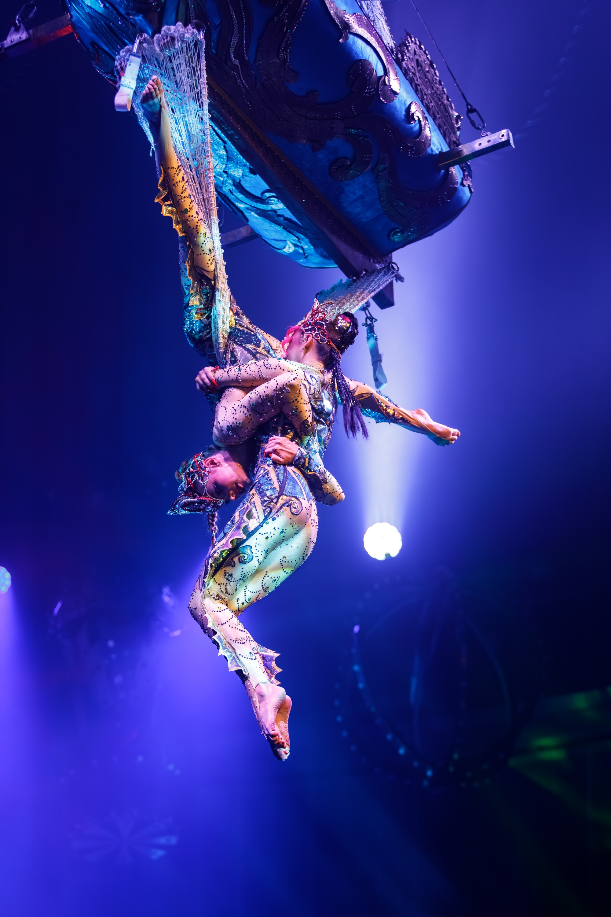 Сочинский росгорцирк Шоу Гии Эрадзе цирк. Профессиональный фотограф в Сочи Виктория Джой. Обучение