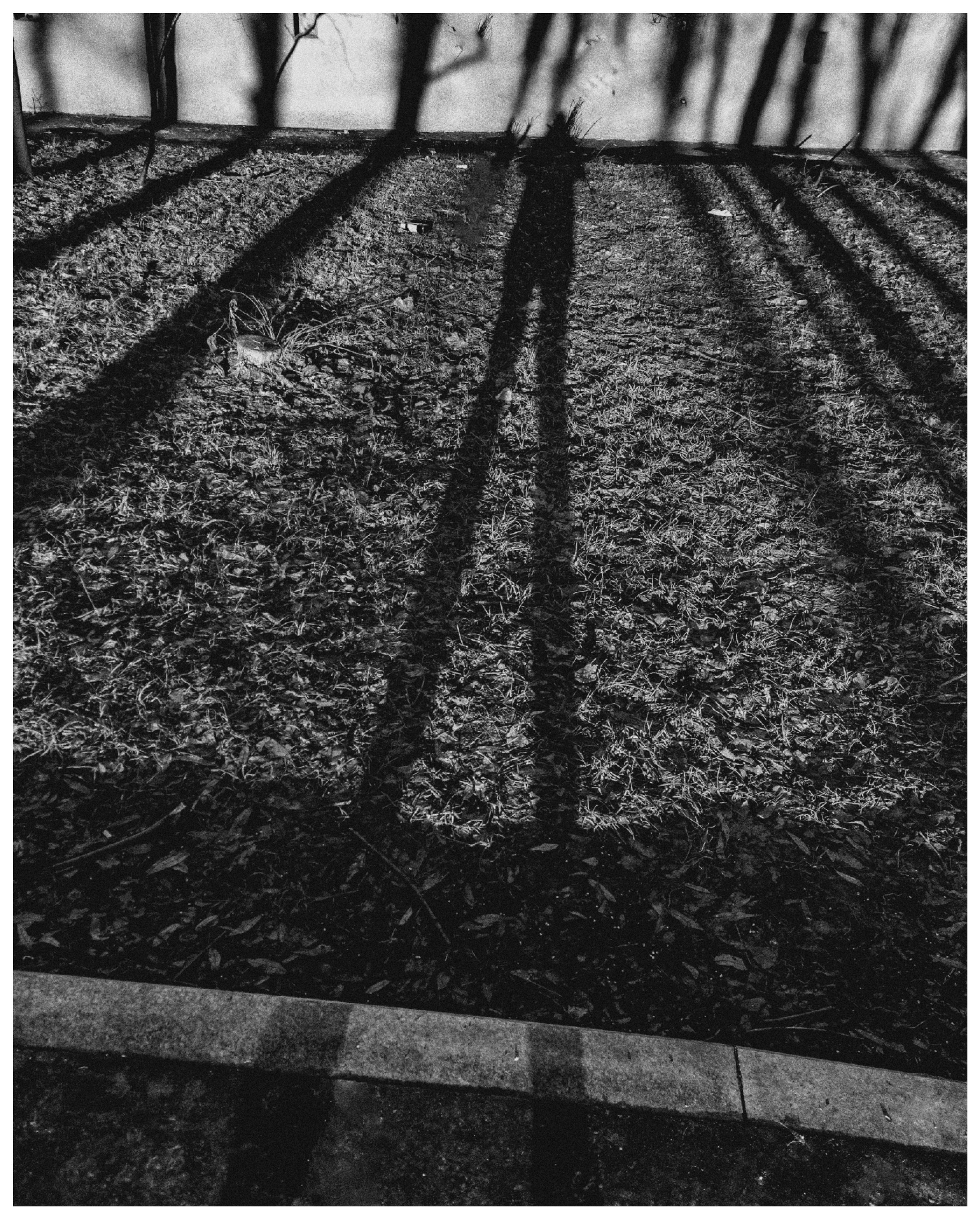 Мир повседневных Вещей. Репортажный и портретный фотограф, Влад Хафизов, Москва