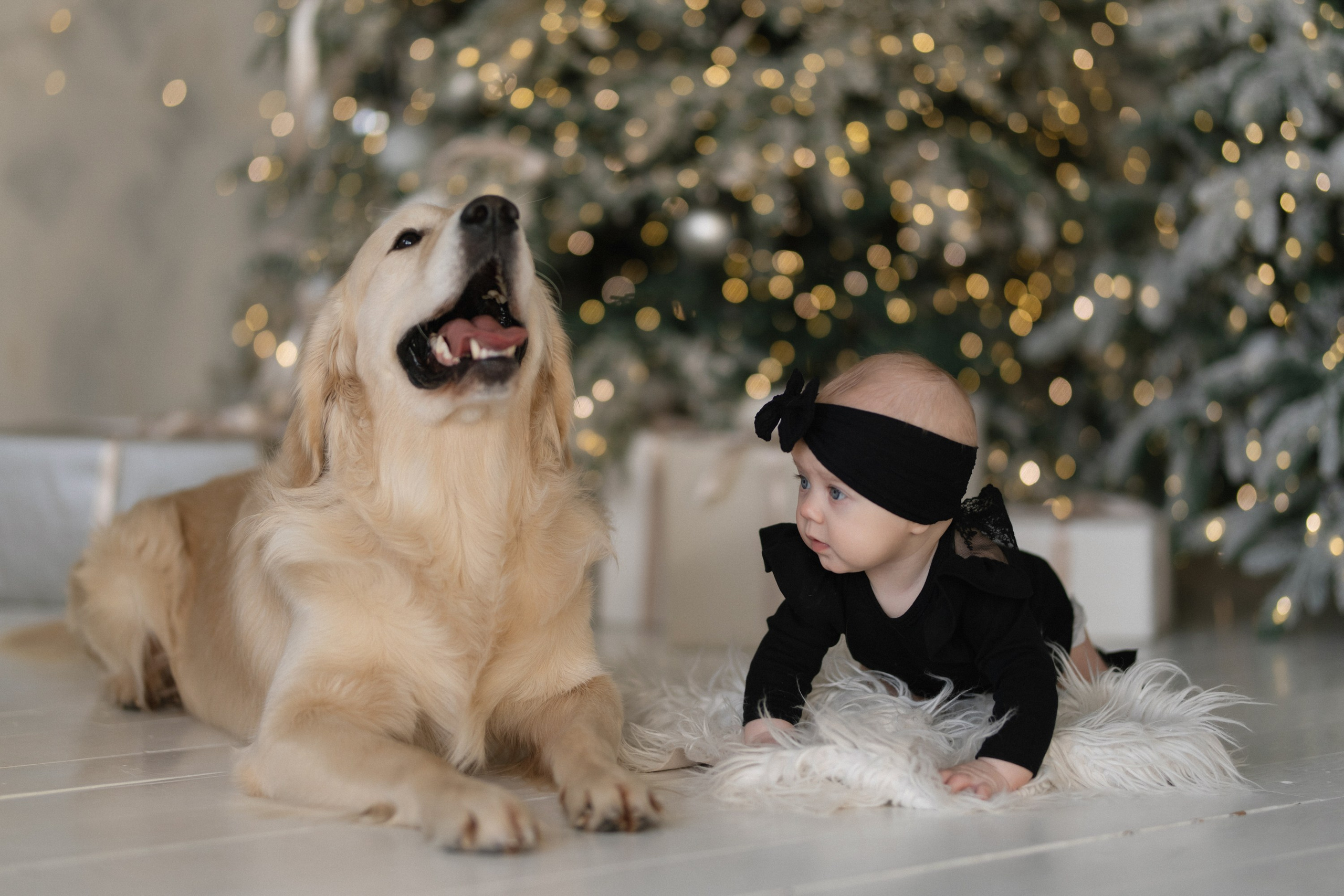 КАТЯ, ПАША, ТАСЯ И КАСПЕР ` 25. Maria Startseva Photo