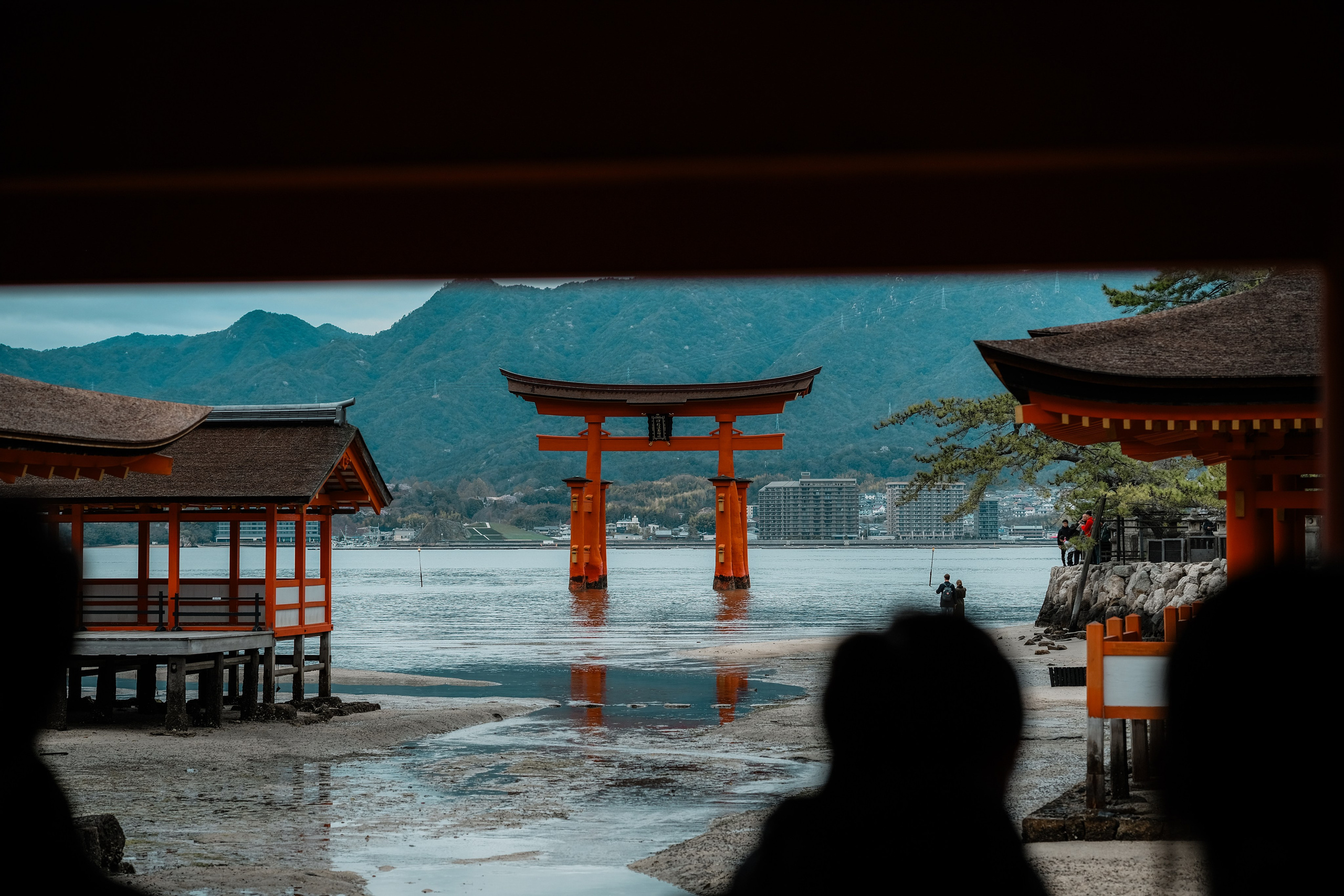 Nippon. Главная