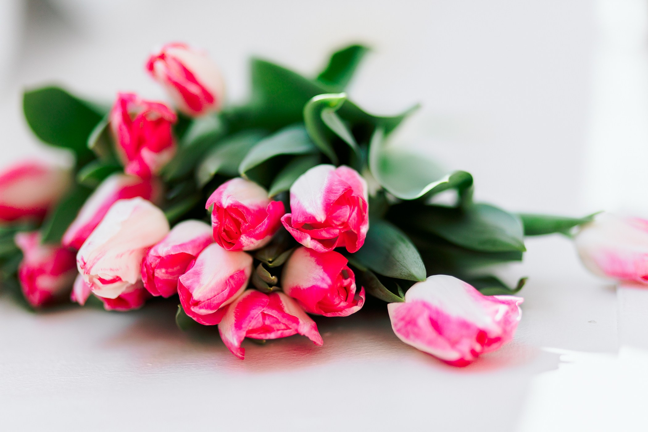 Даша. Семейный, репортажный, свадебный фотограф в Краснодаре Артур Александрин