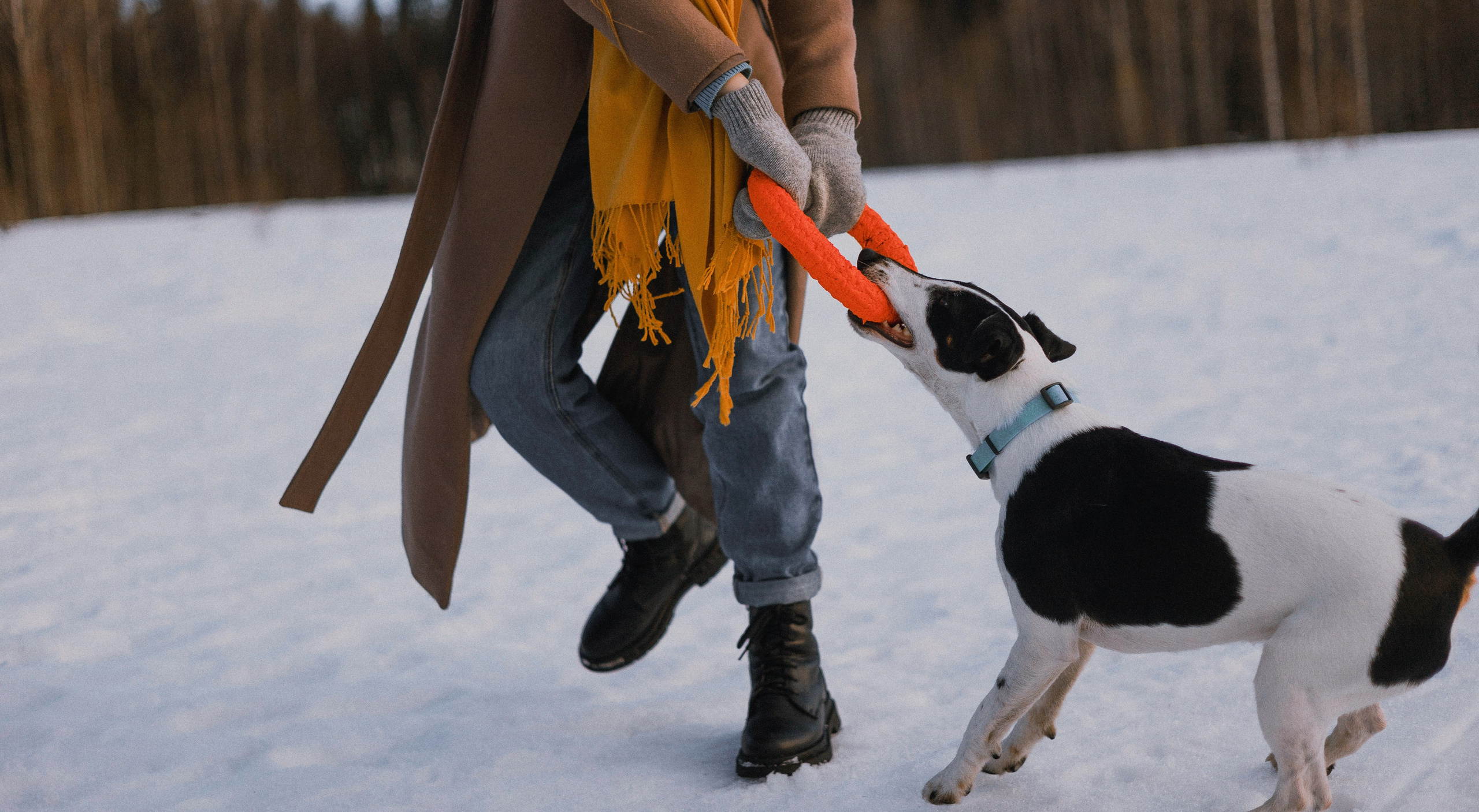 Ольга и Сэм. Фотограф-анималист Богданова Полина