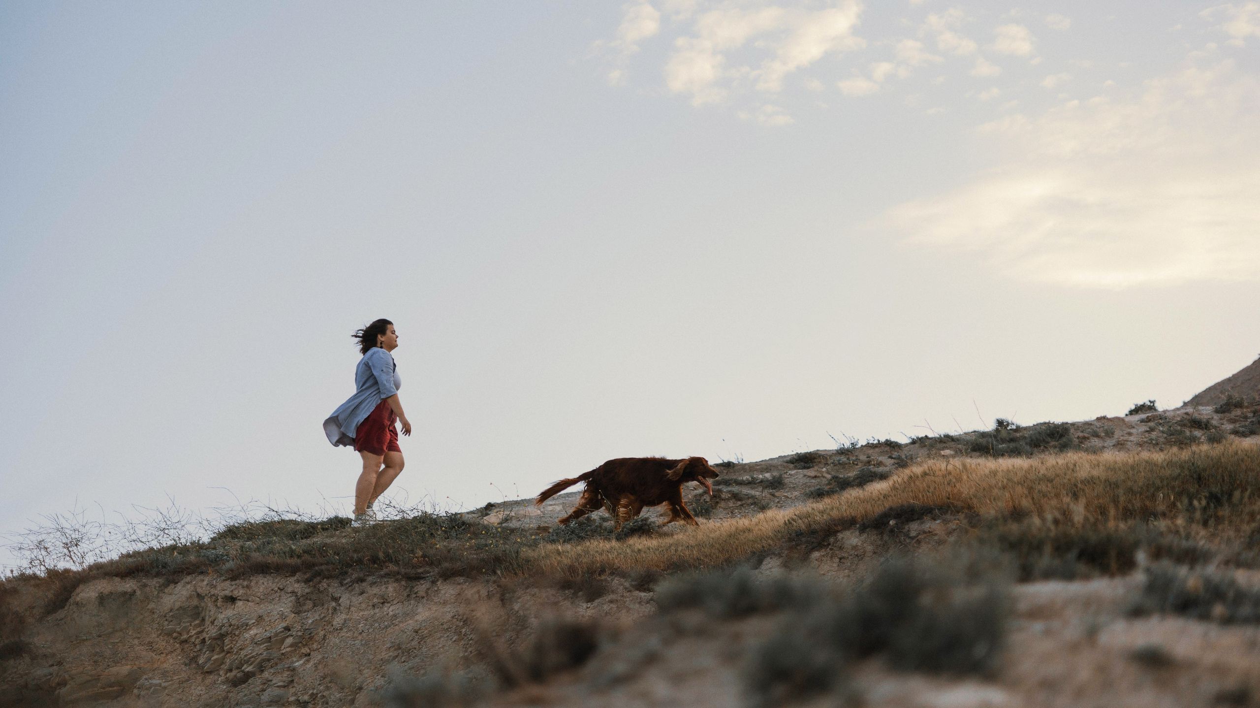 Ольга и Шеймас. Фотограф-анималист Богданова Полина
