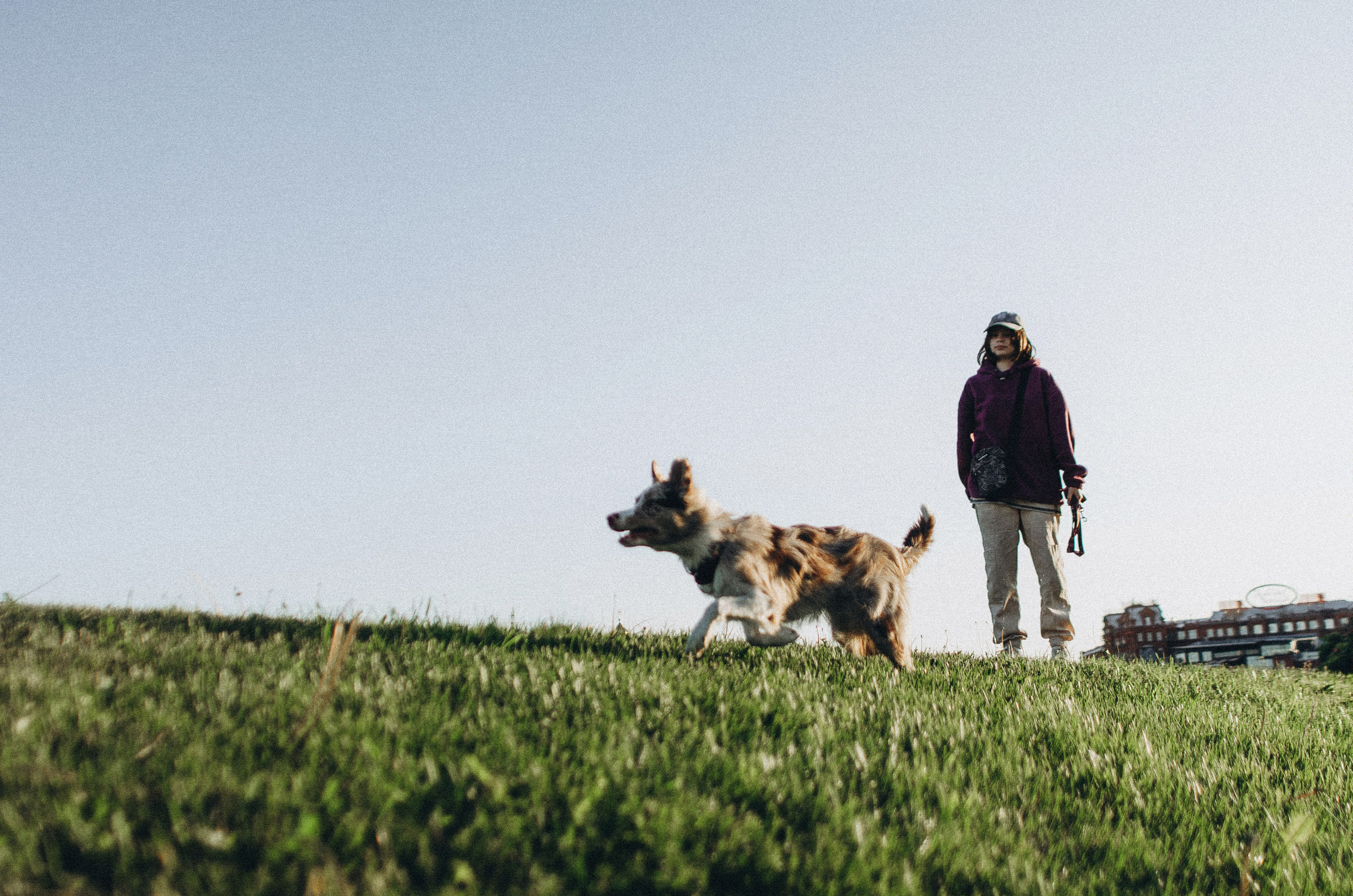 Аня и Дэймон. Фотограф-анималист Богданова Полина