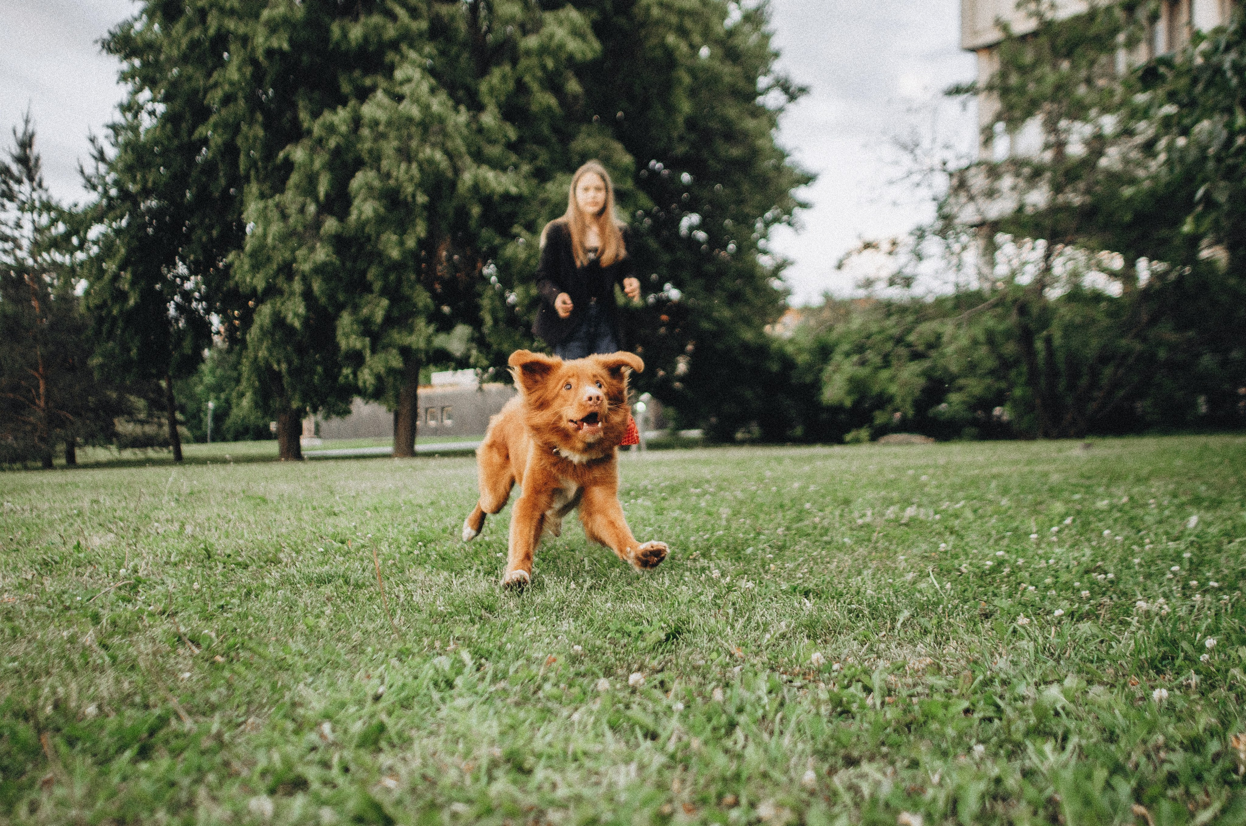 Алина и Бис. Фотограф-анималист Богданова Полина