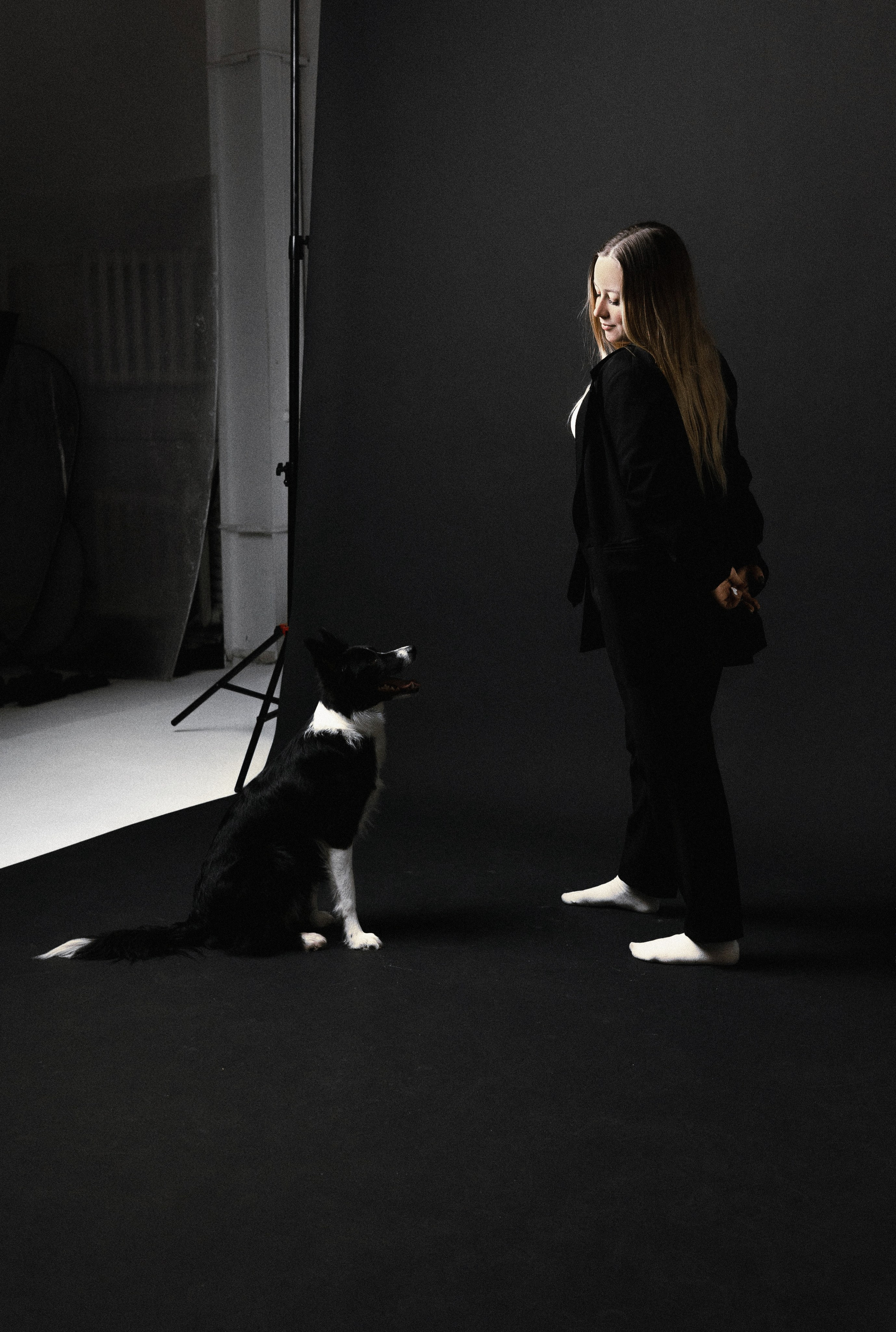 Даша, Дже и Рива. Фотограф-анималист Богданова Полина