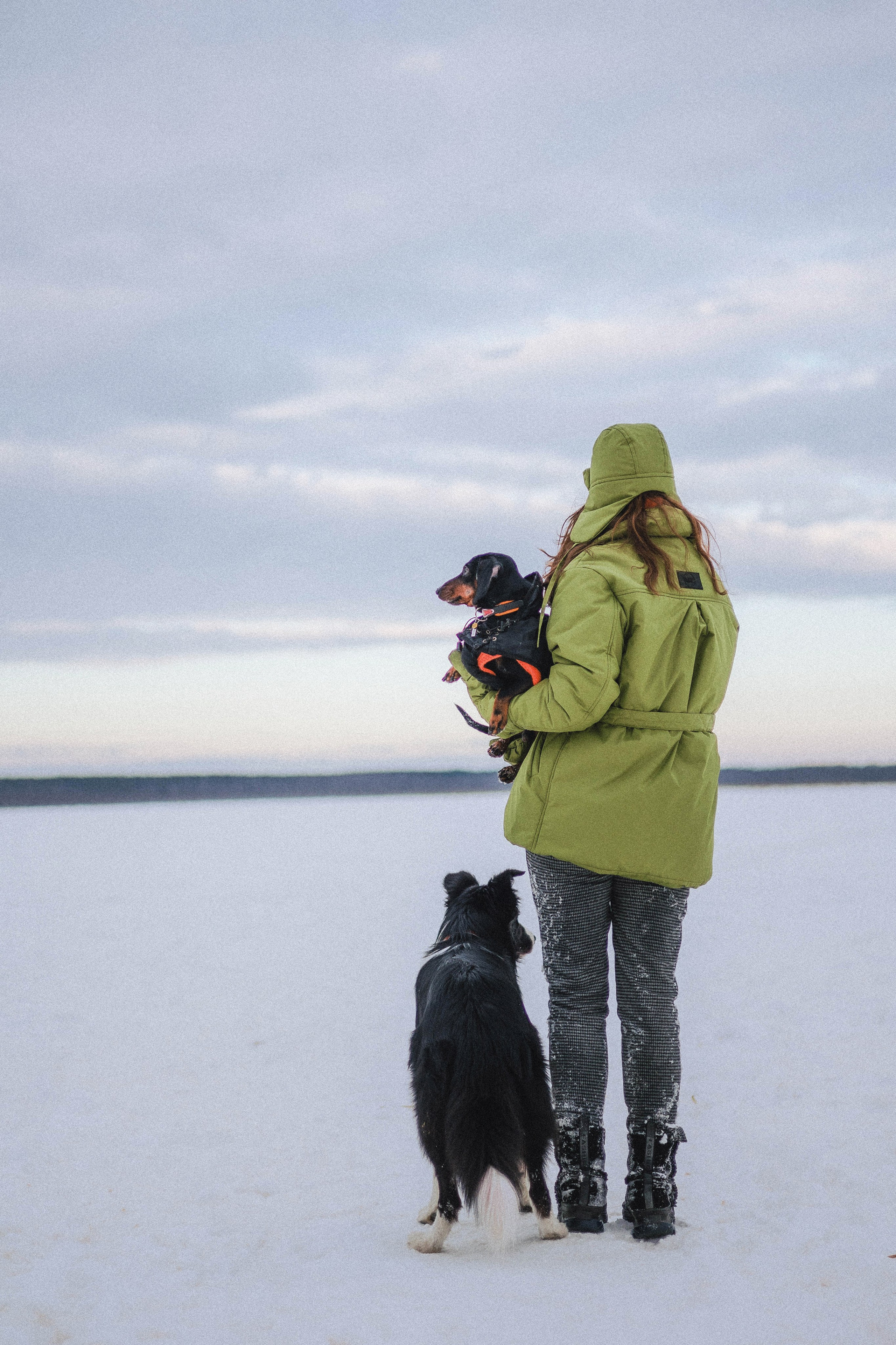 Маша, Рэм и Ньютон. Фотограф-анималист Богданова Полина