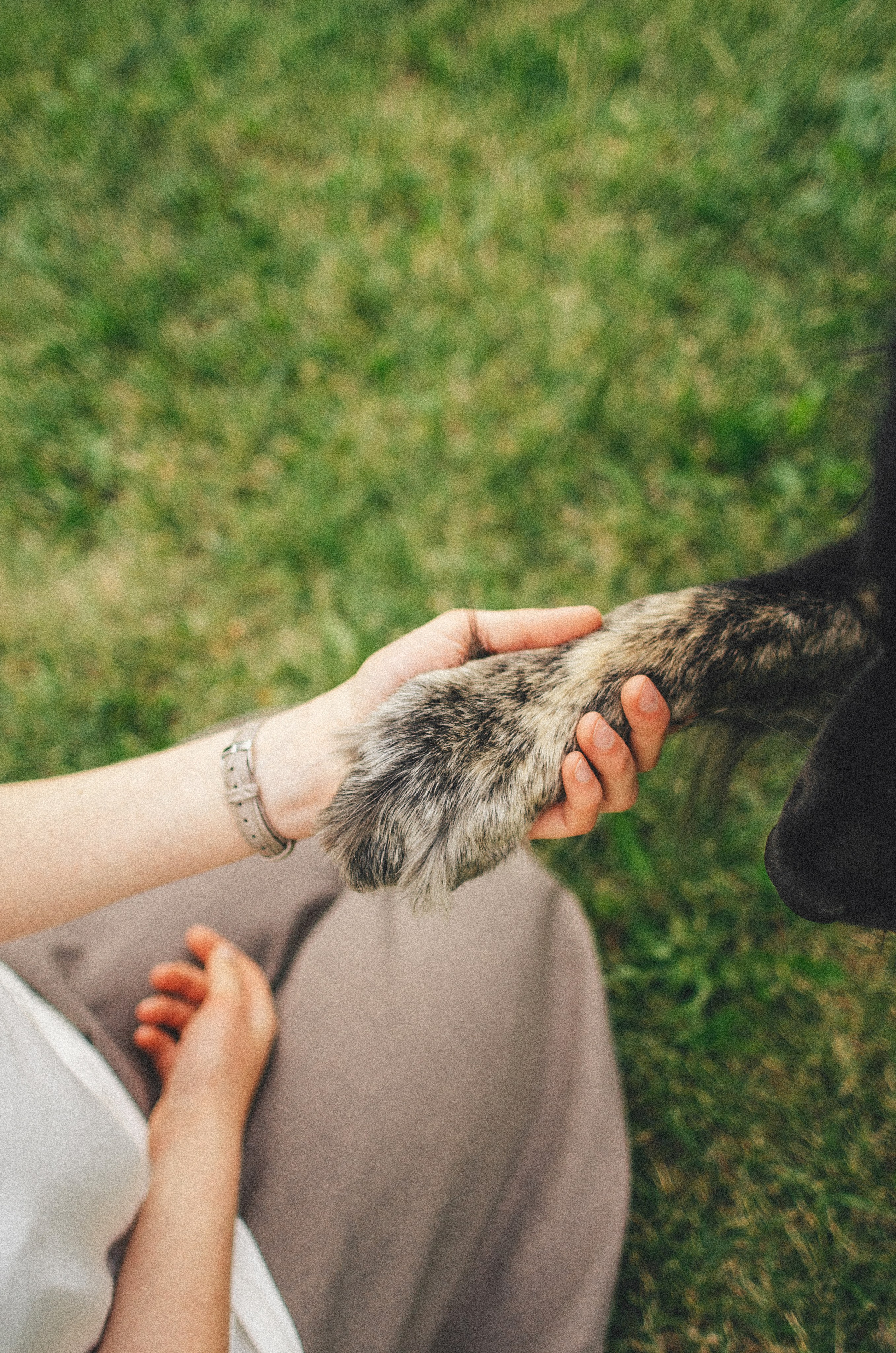 Анна и Марко. Фотограф-анималист Богданова Полина