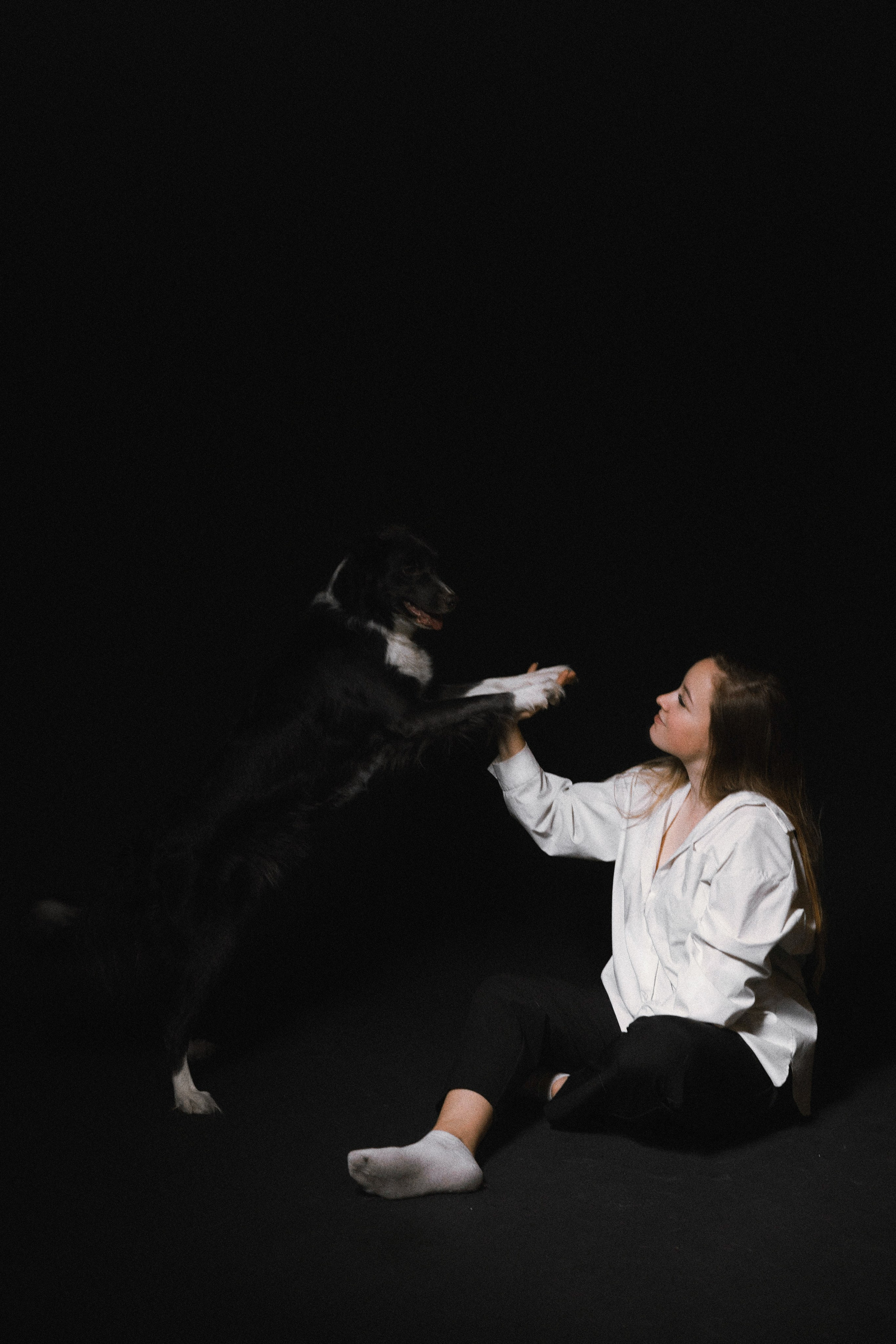 Даша, Дже и Рива. Фотограф-анималист Богданова Полина