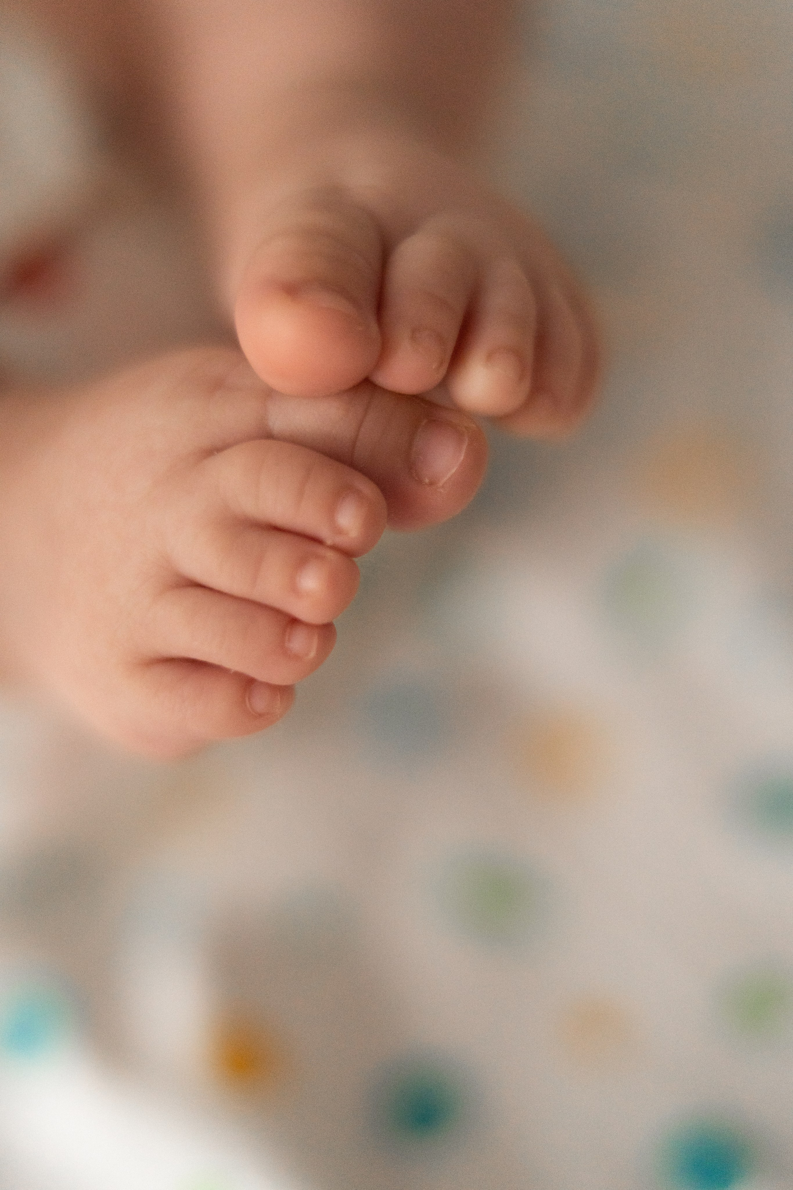 Михаил Светлана и Полина :). Фотограф в Москве Проймин Алексей