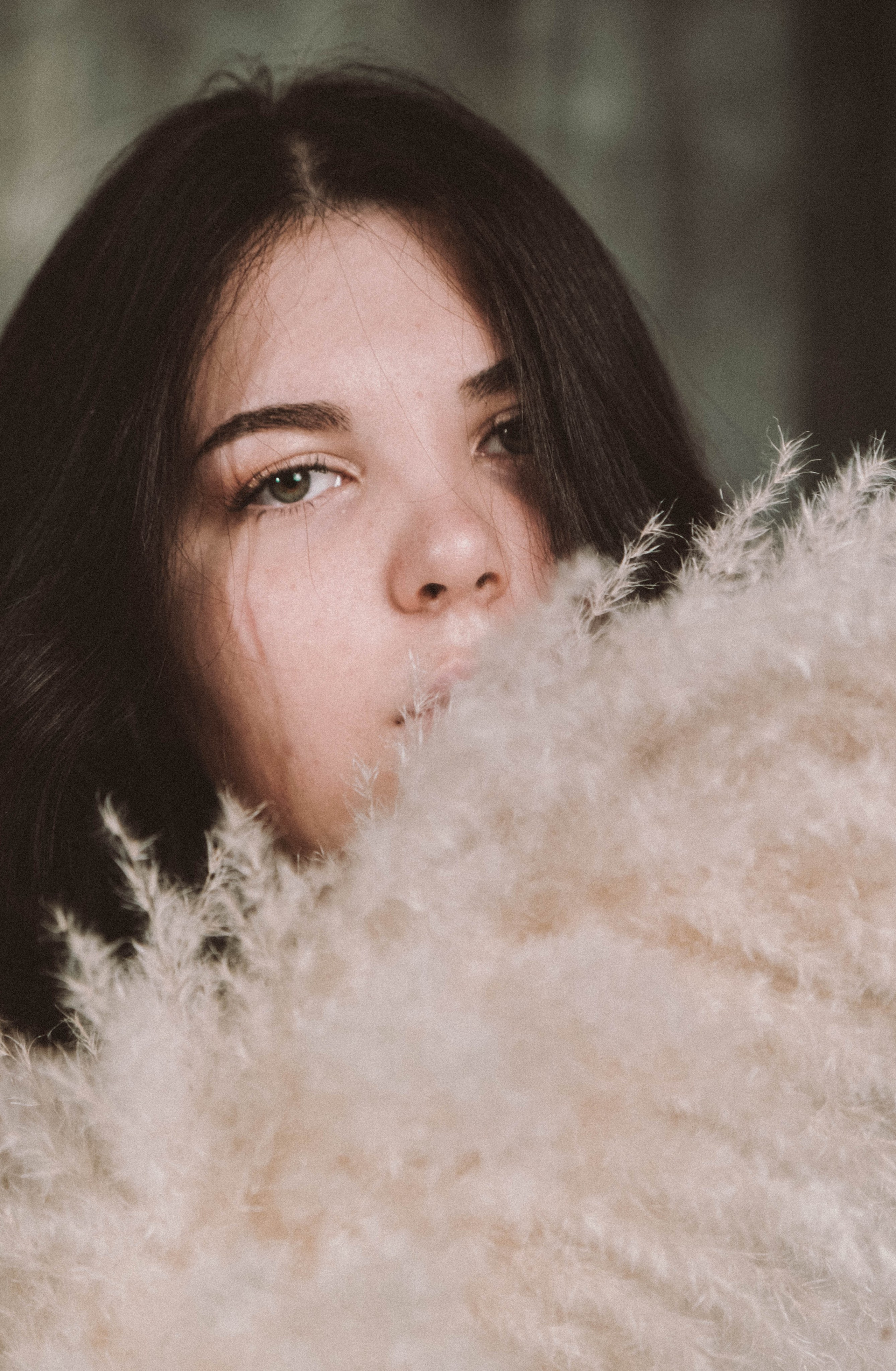 ELENA. Главная