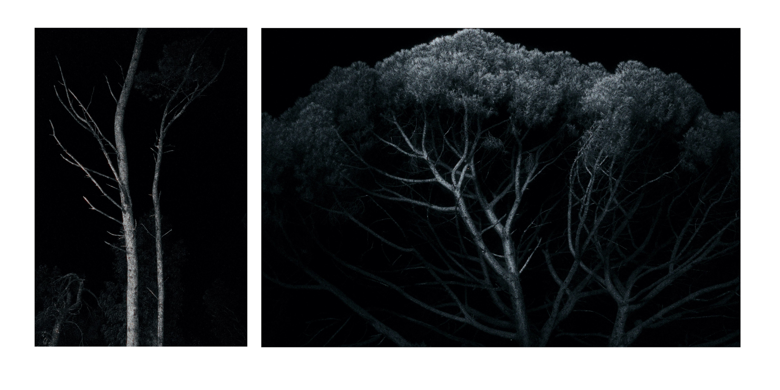 Gallery. Творческий фотограф. Санкт-Петербург