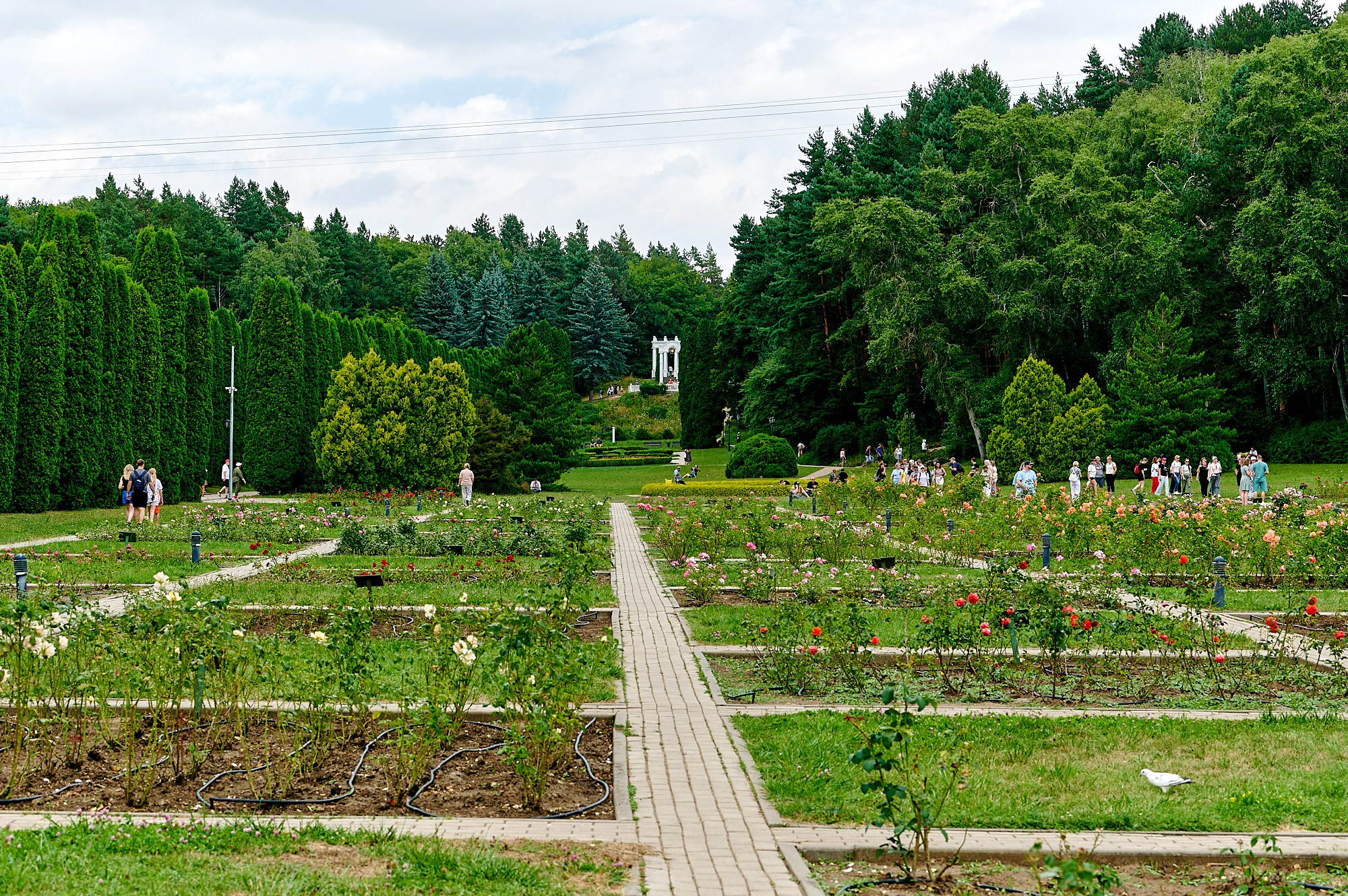 Кисловодск, Россия. Август 2024. Фотографии отовсюду и обо всем