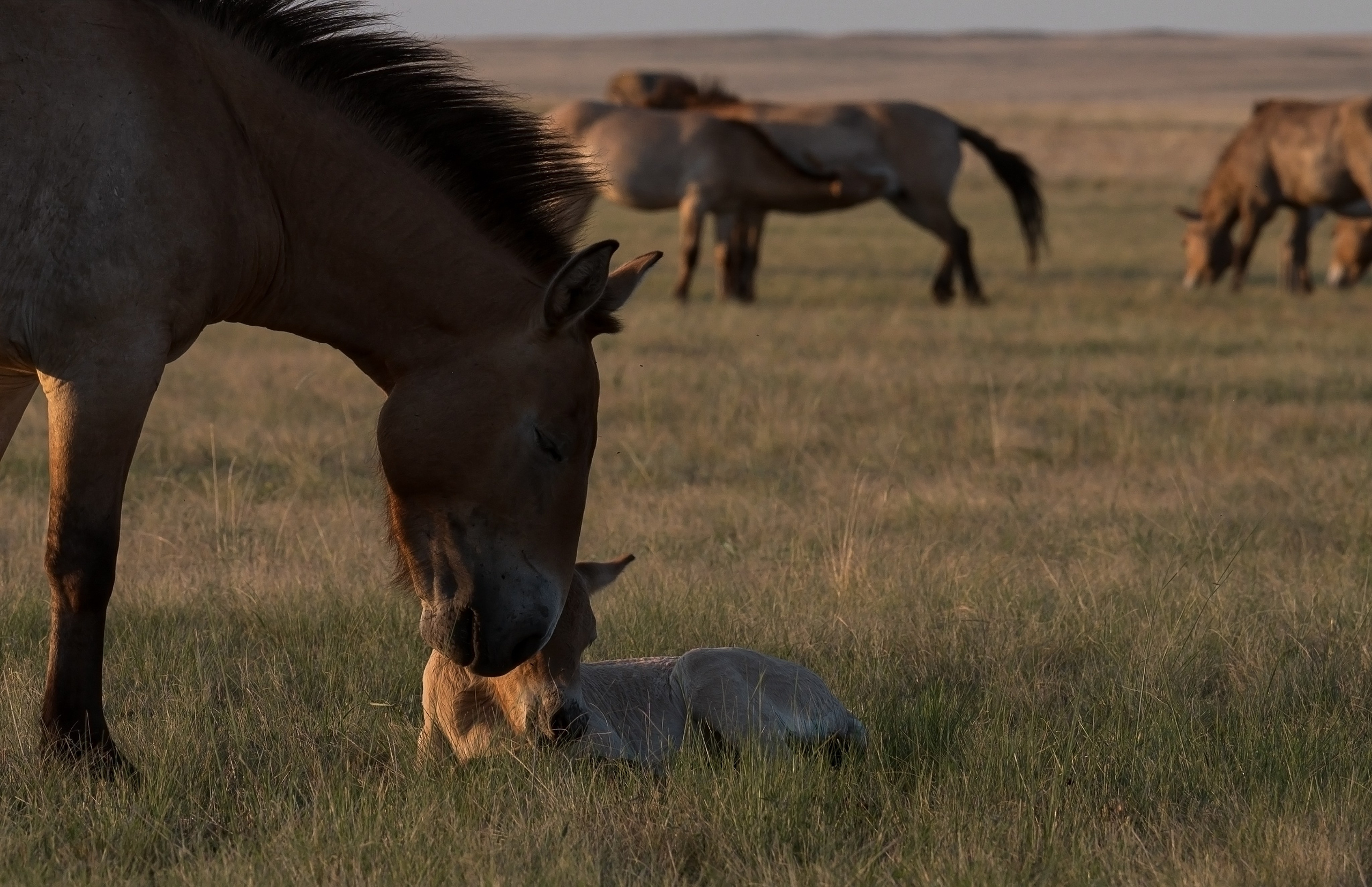 В природе. Портретный фотограф в Челябинске Катерина Руди
