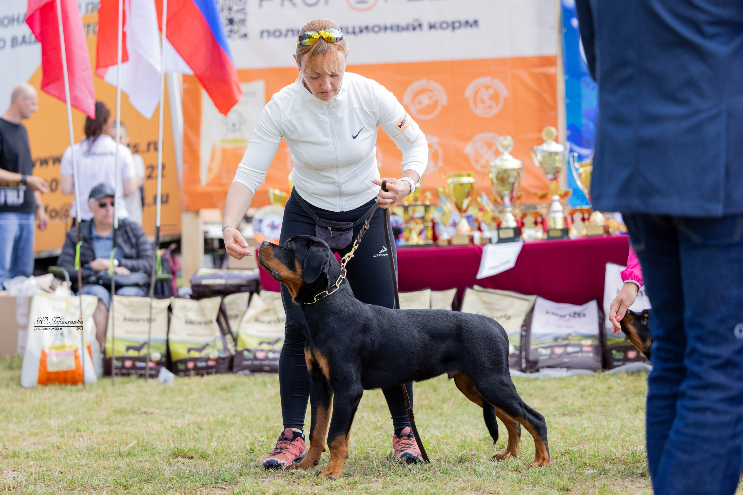 ПК и КЧК ротвейлеры Тверь 6-7.07.2024. Фотограф-анималист Юлия Германика