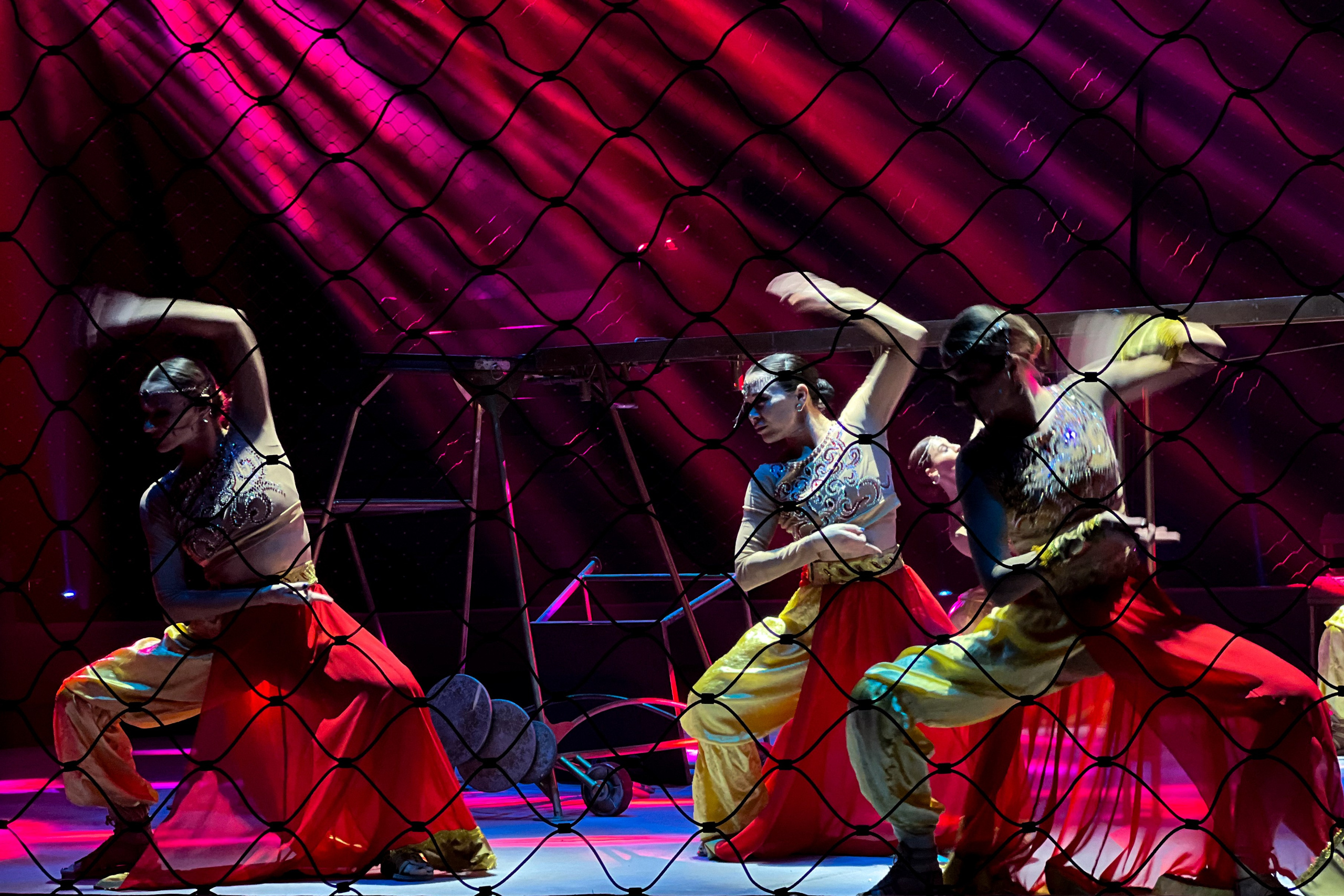 Цирк Братьев Запашных. Фотограф и видеограф Евгений Романов Санкт-Петербург