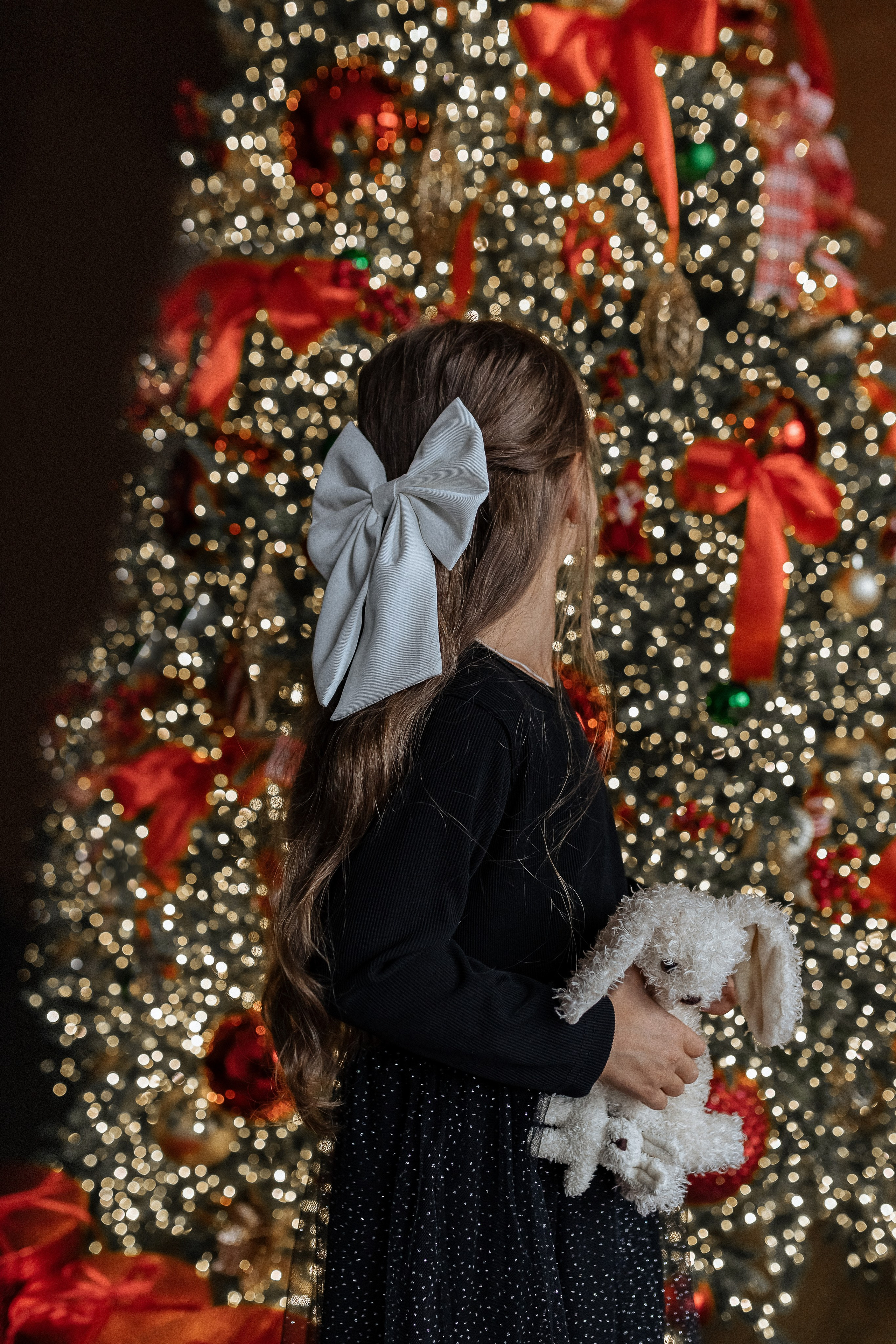 Новогодняя сьемка в студии. Профессиональный фотограф, Москва |Видное Елена Елизарова